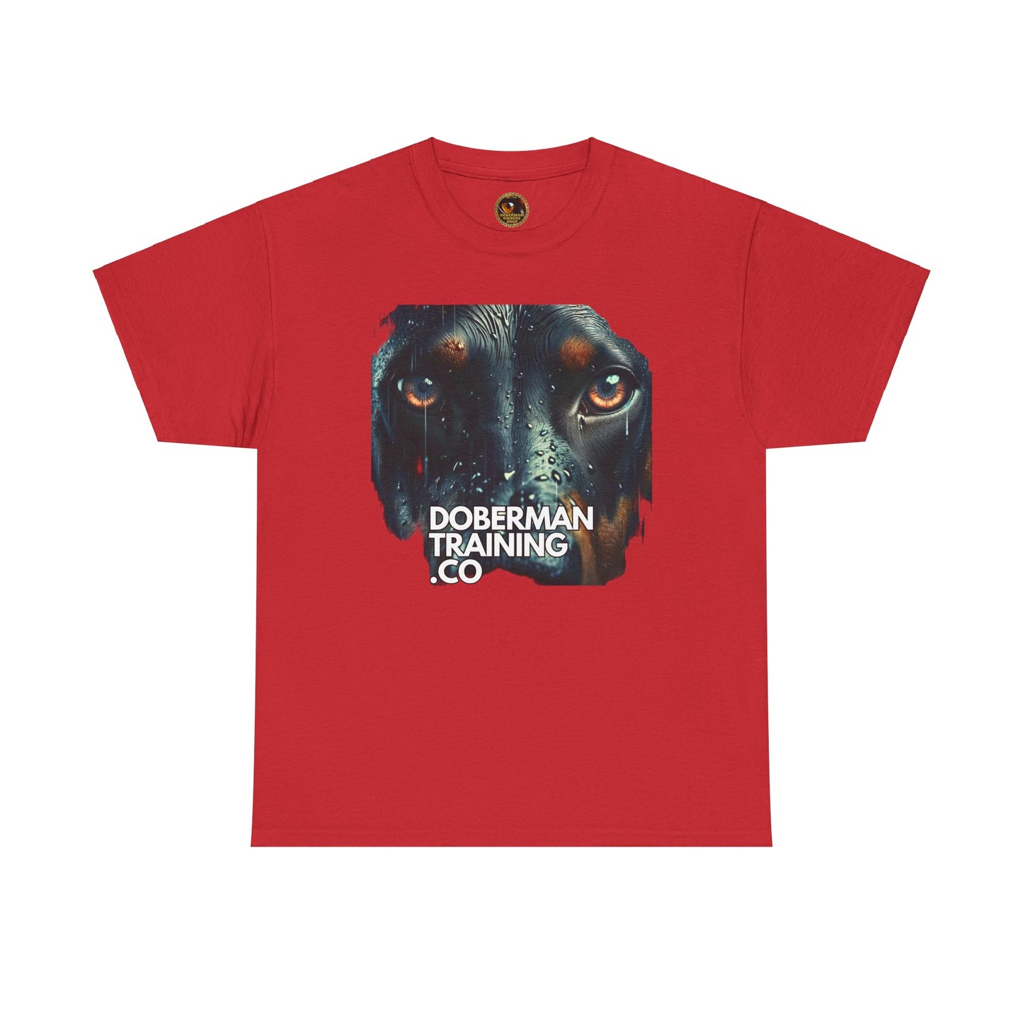 Training Group 2 Private Lable Unisex Heavy Cotton Tee