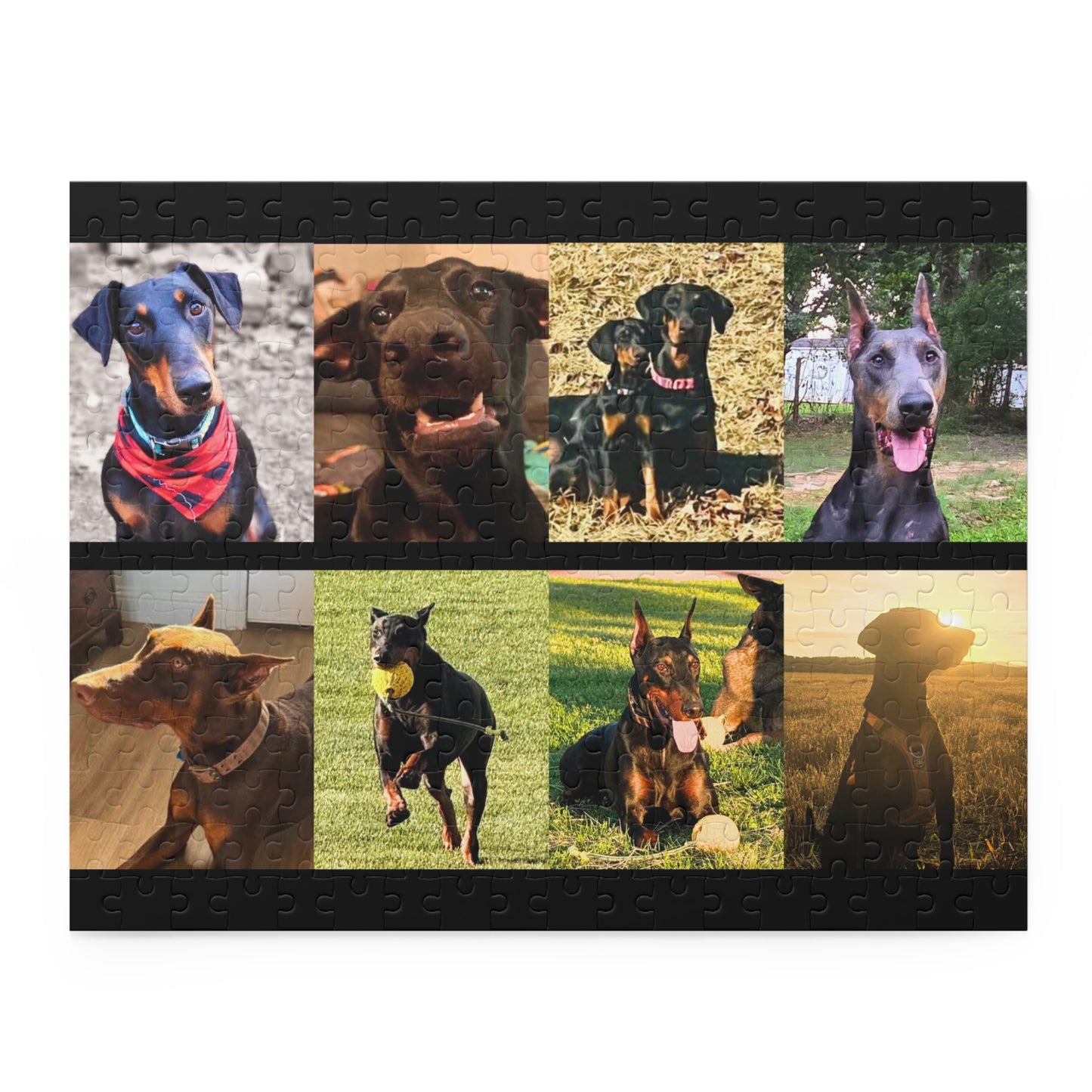 Limited Edition Doberman Community Jigsaw Puzzle 13
