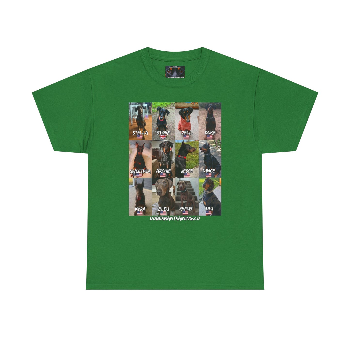 Fam 1 Sit Private Lable Unisex Heavy Cotton Tee