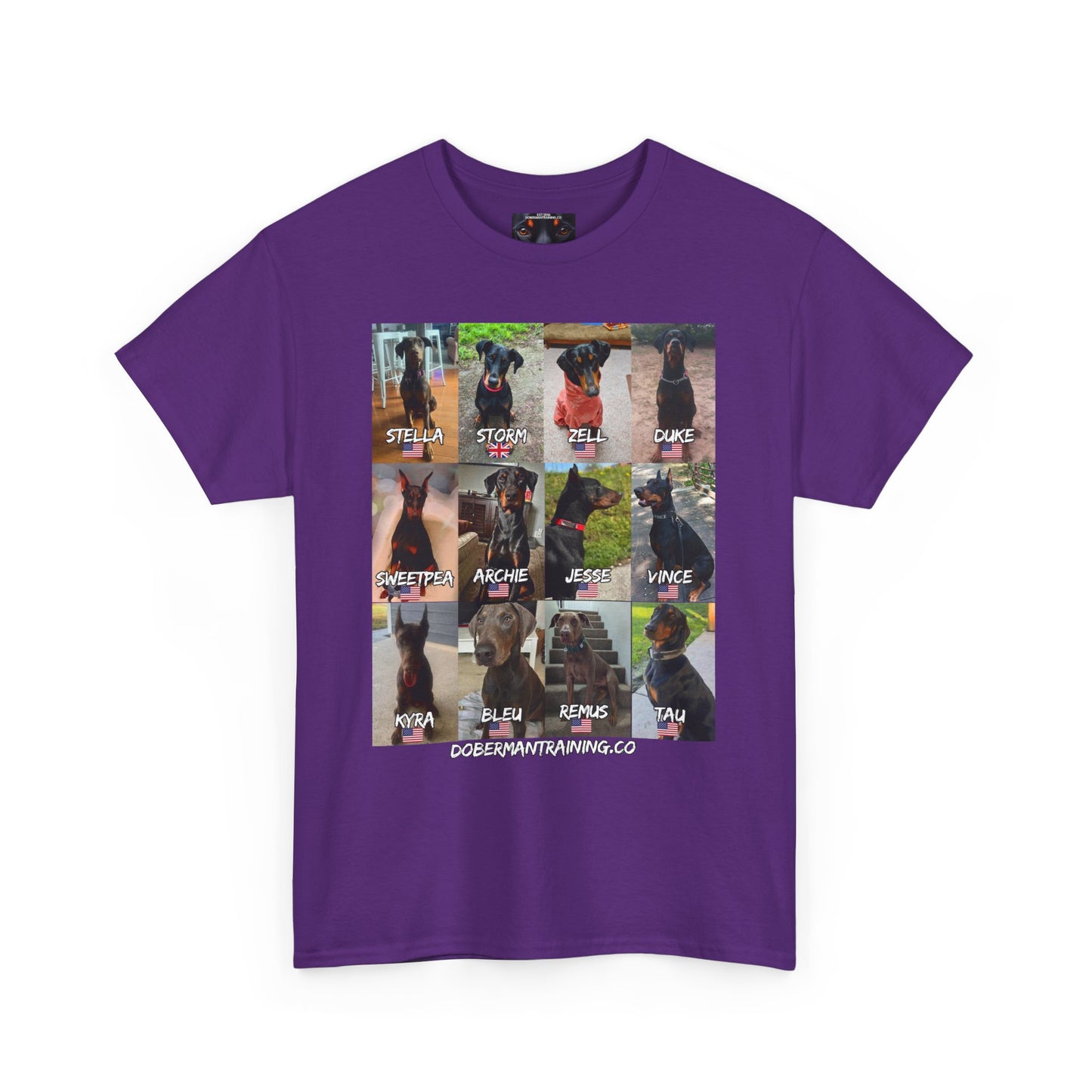 Fam 1 Sit Private Lable Unisex Heavy Cotton Tee
