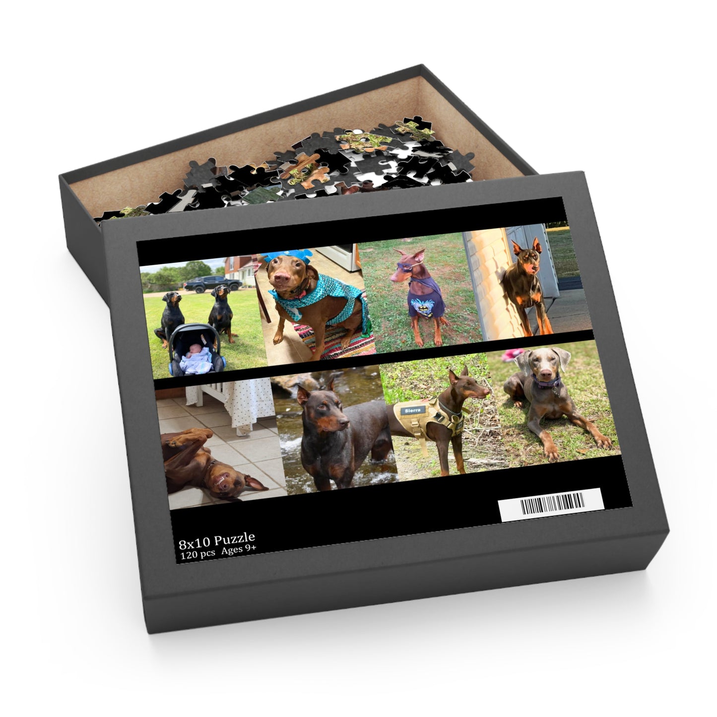 Limited Edition Doberman Community Jigsaw Puzzle 11