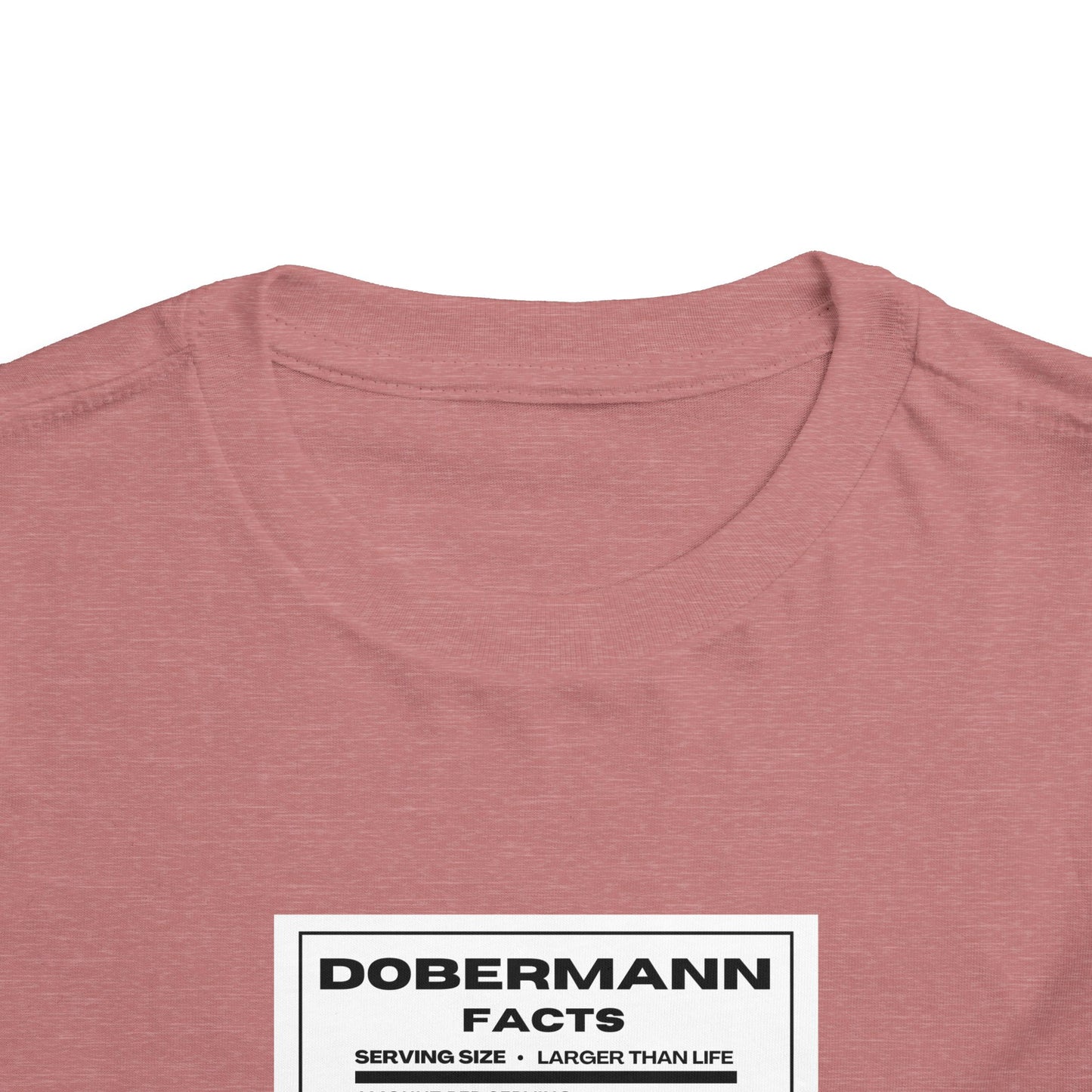 Dobermann Facts 1 Toddler Short Sleeve Tee