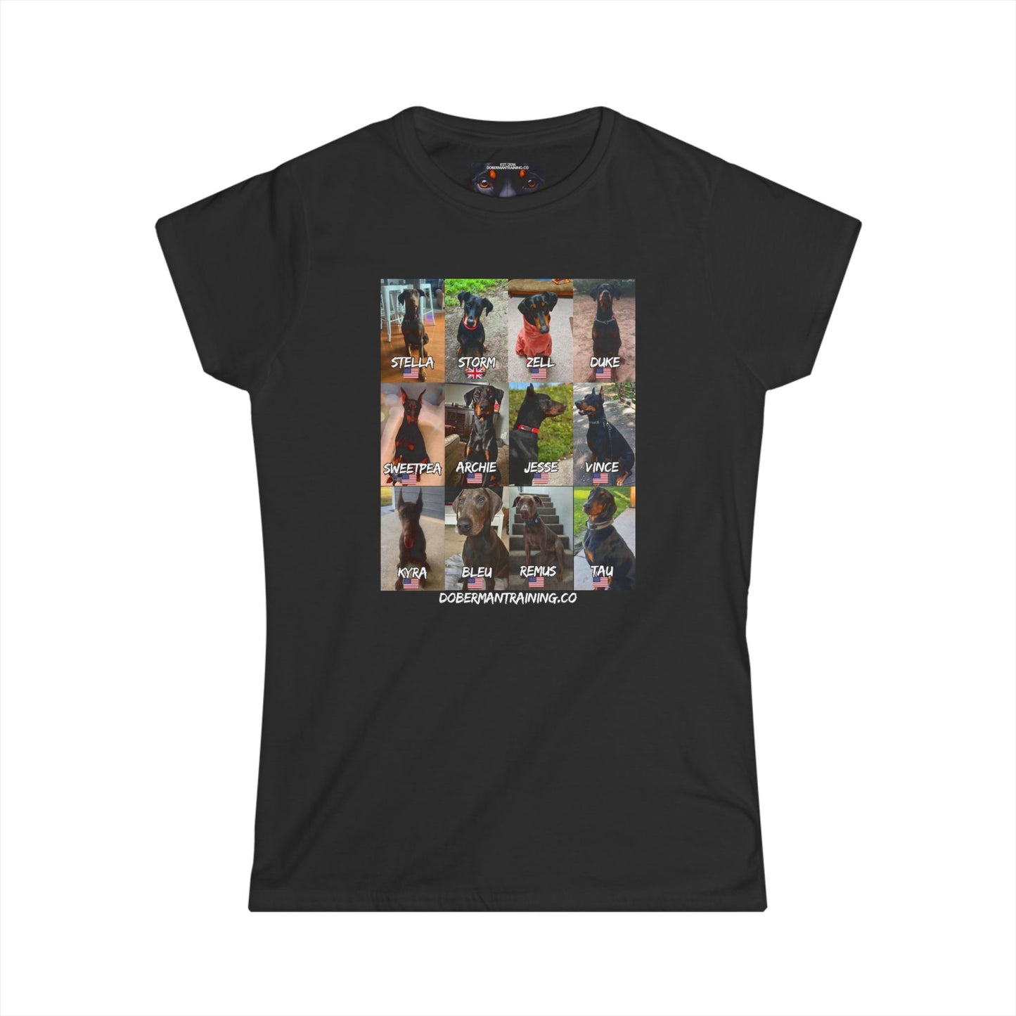 Fam 1 Sit Women's Softstyle Tee