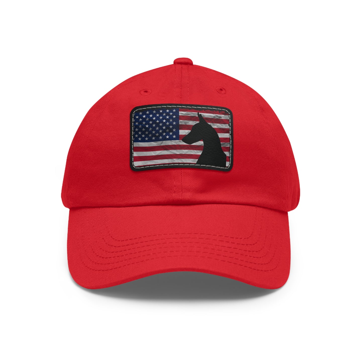 USA 1 Dad Hat with Leather Patch (Rectangle)
