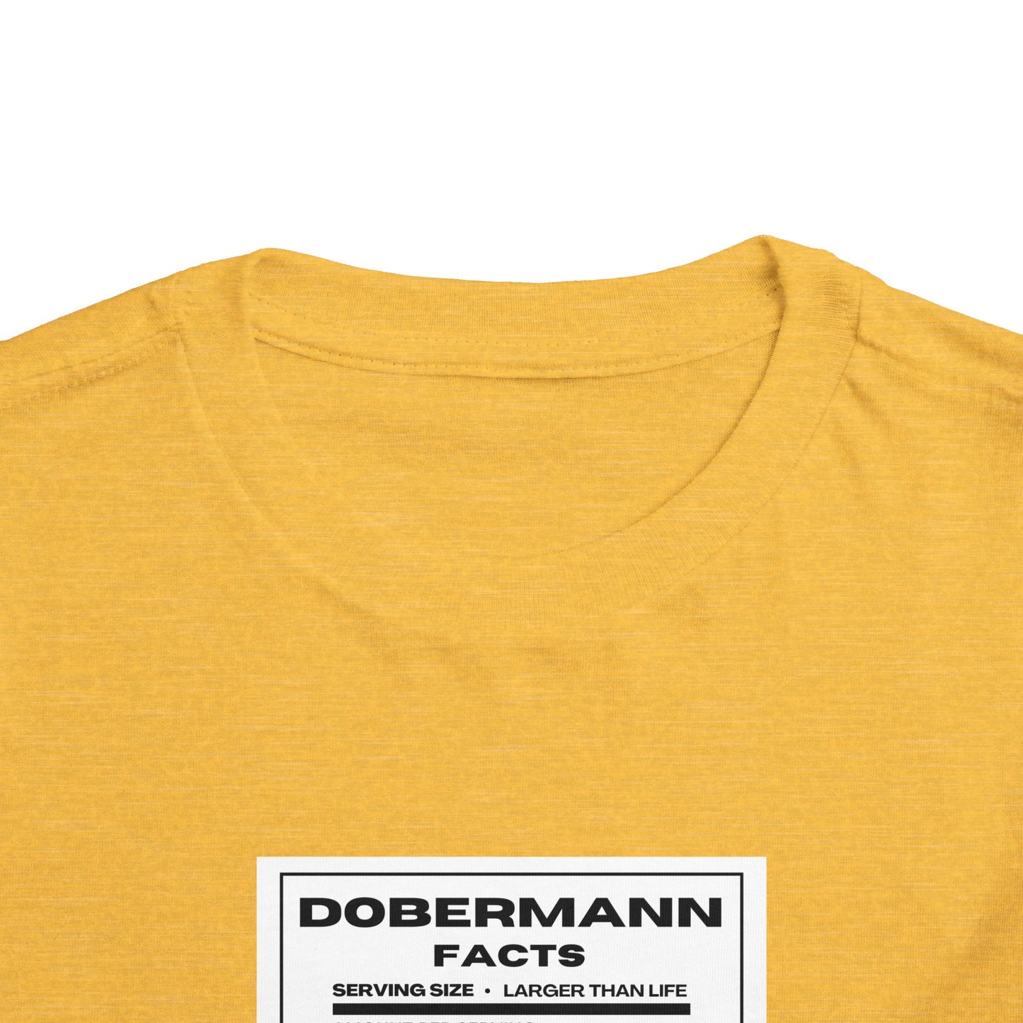 Dobermann Facts 1 Toddler Short Sleeve Tee