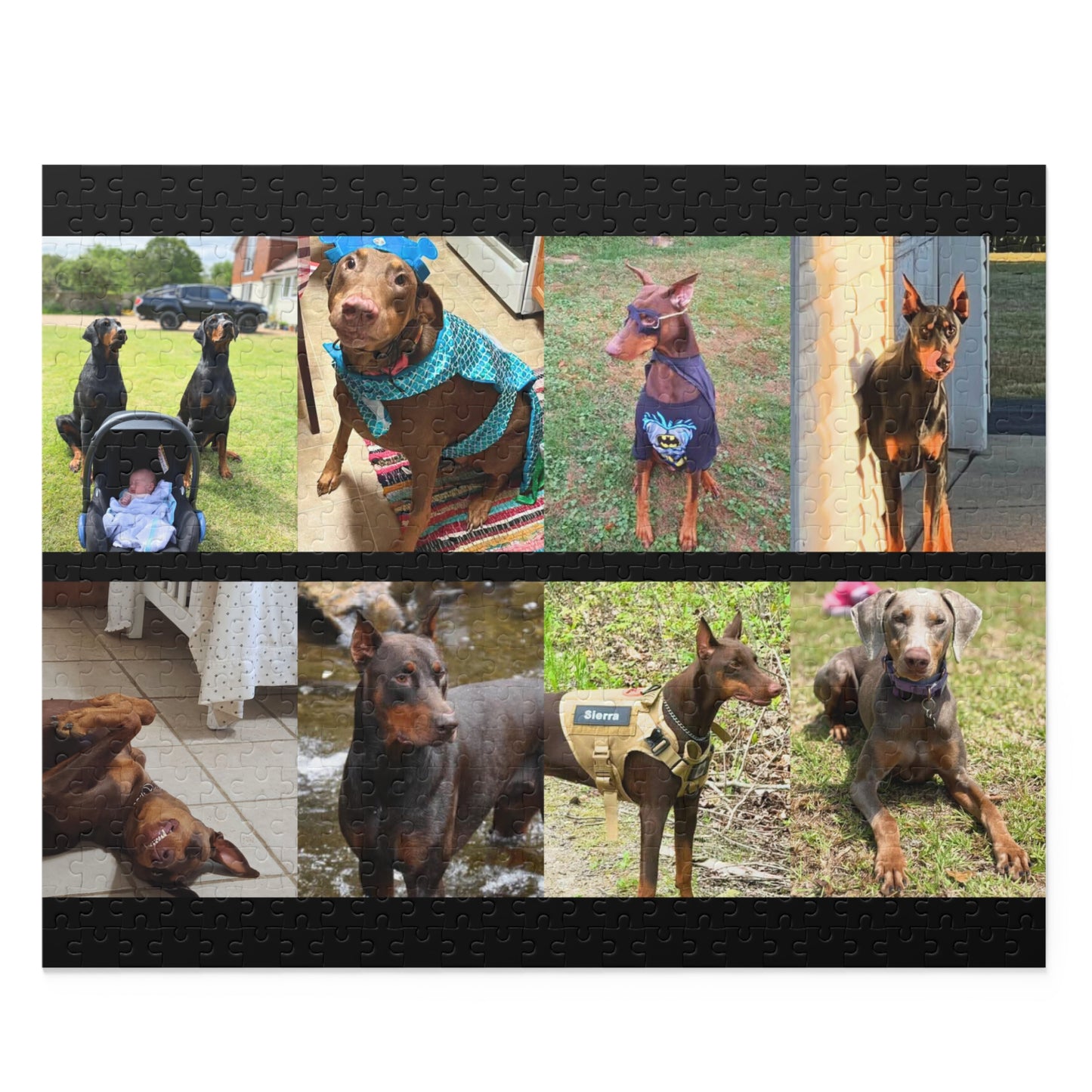 Limited Edition Doberman Community Jigsaw Puzzle 11