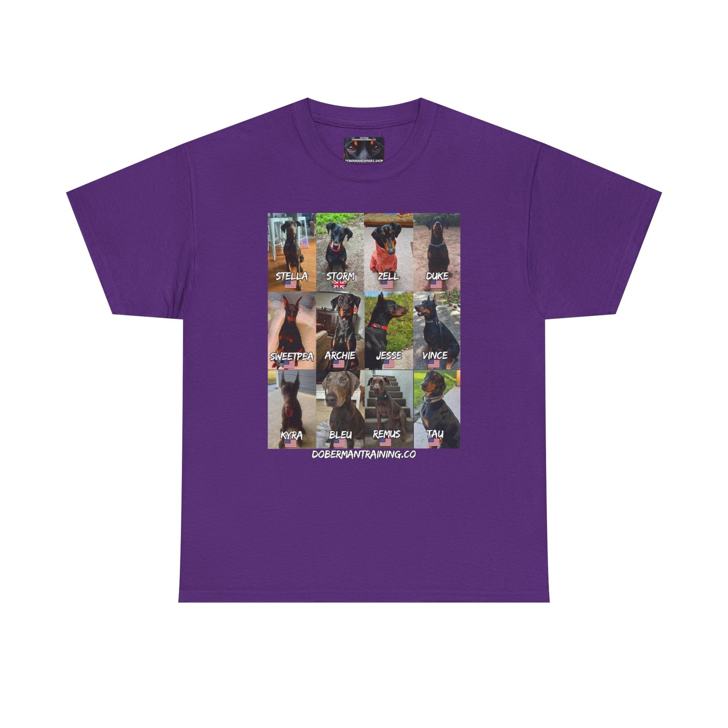 Fam 1 Sit Private Lable Unisex Heavy Cotton Tee