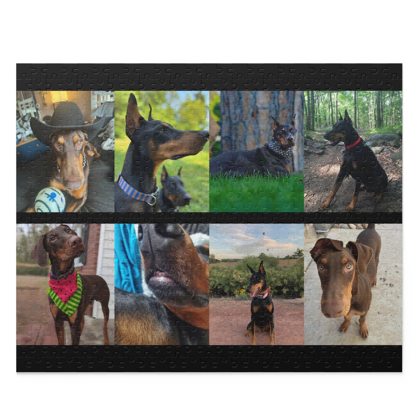 Limited Edition Doberman Community Jigsaw Puzzle 1