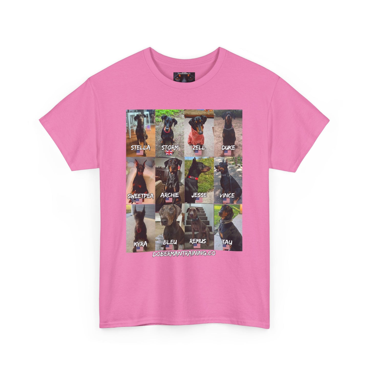 Fam 1 Sit Private Lable Unisex Heavy Cotton Tee