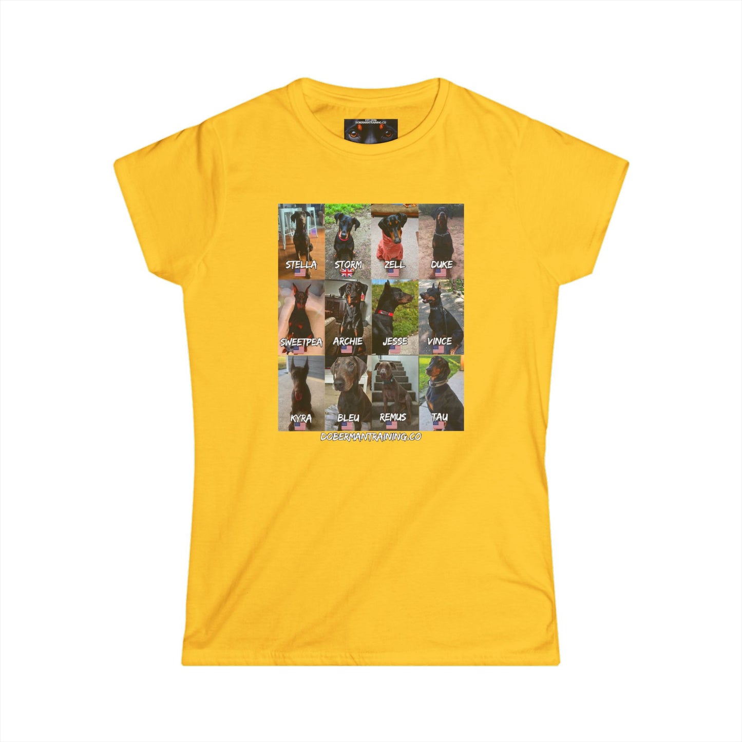 Fam 1 Sit Women's Softstyle Tee