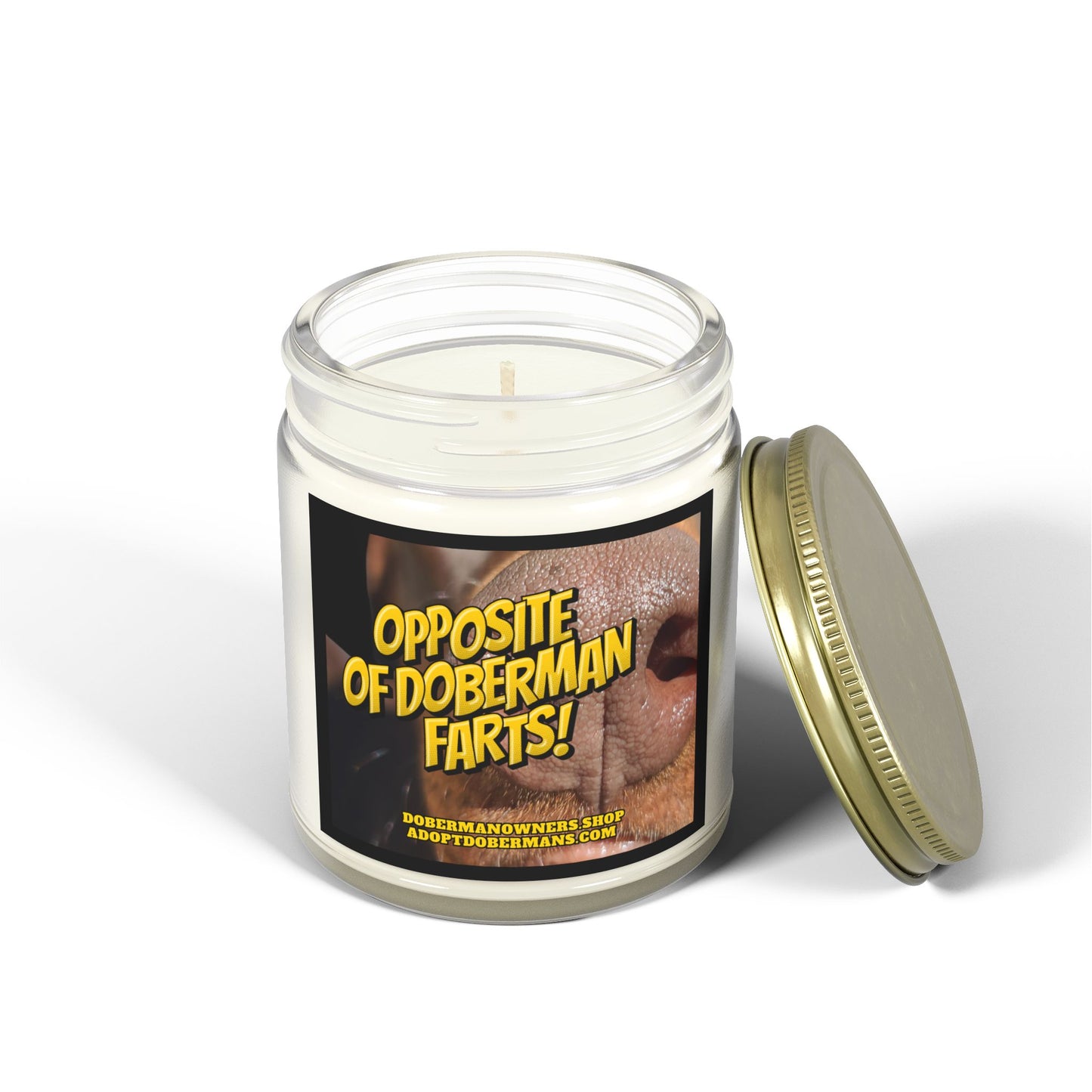 OODF Scented Coconut Apricot Candles (4oz, 9oz)