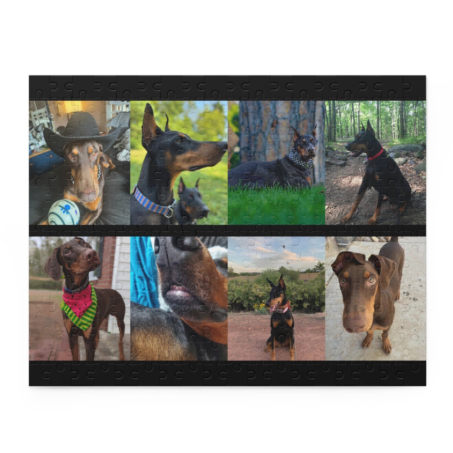 Limited Edition Doberman Community Jigsaw Puzzle 1