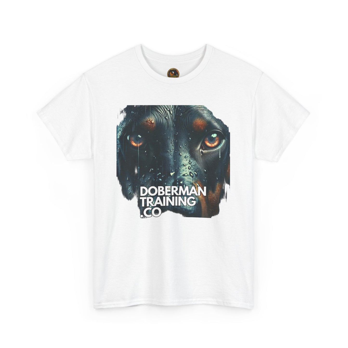 Training Group 2 Private Lable Unisex Heavy Cotton Tee