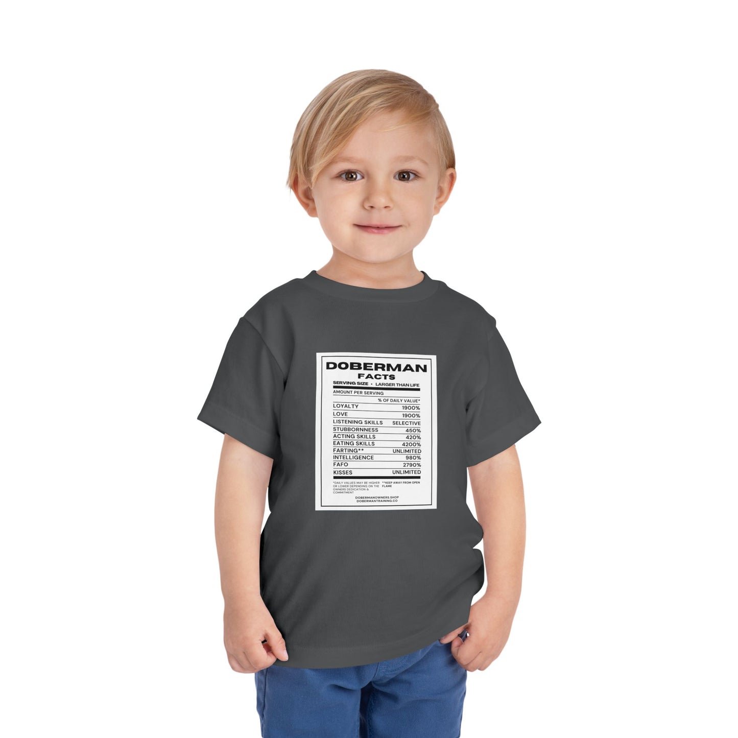 Doberman Facts 1 Toddler Short Sleeve Tee