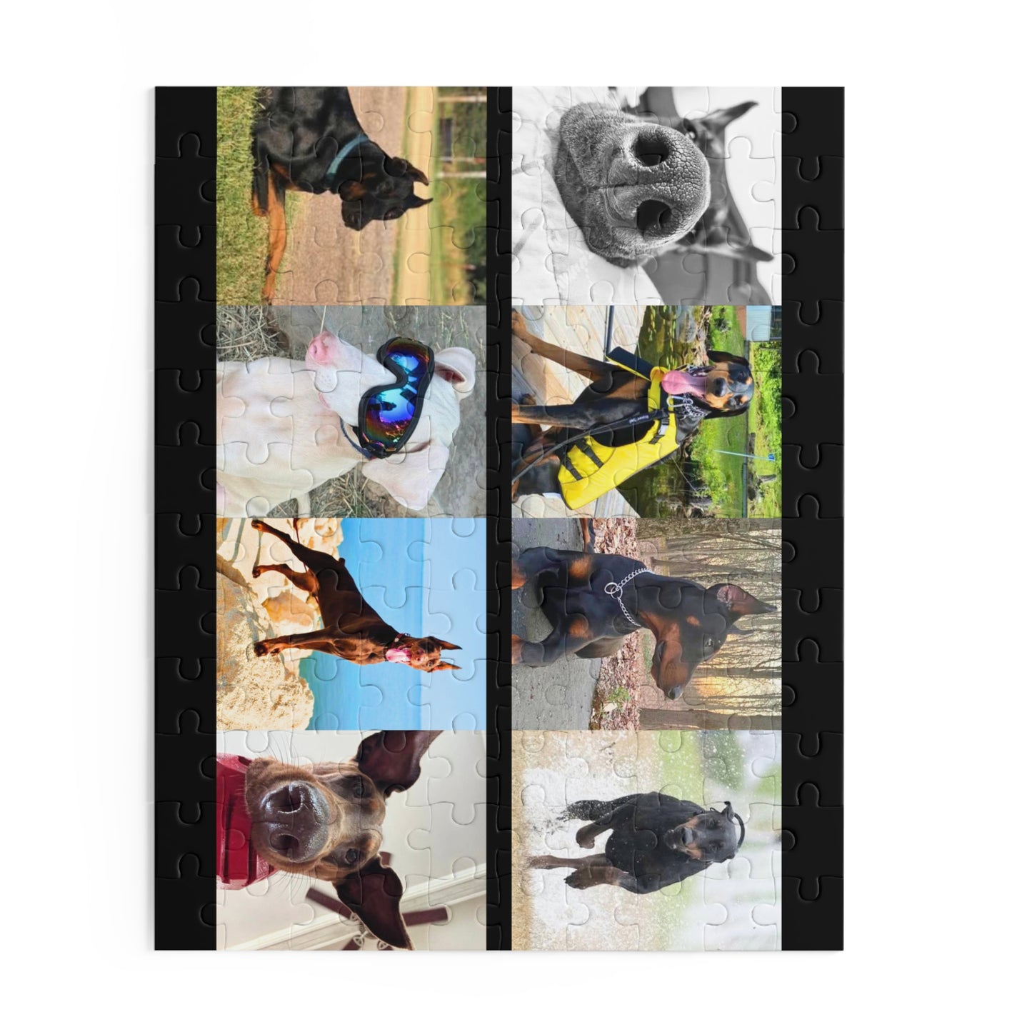 Limited Edition Doberman Community Jigsaw Puzzle 10