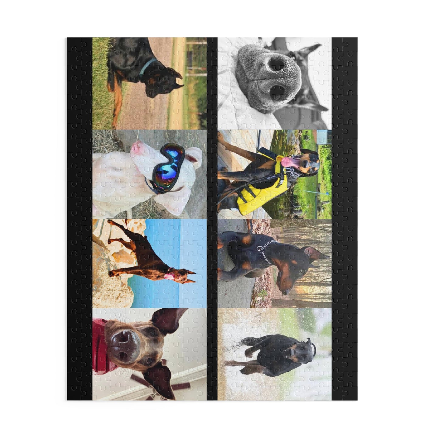 Limited Edition Doberman Community Jigsaw Puzzle 10