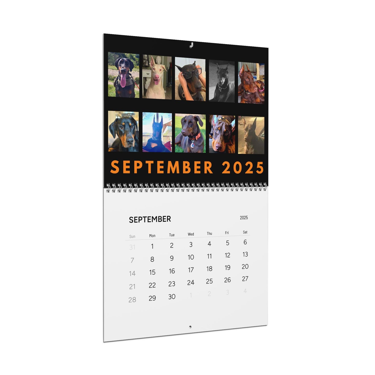 Doberman DTT 6th USA Edition Wall Calendars (2025)