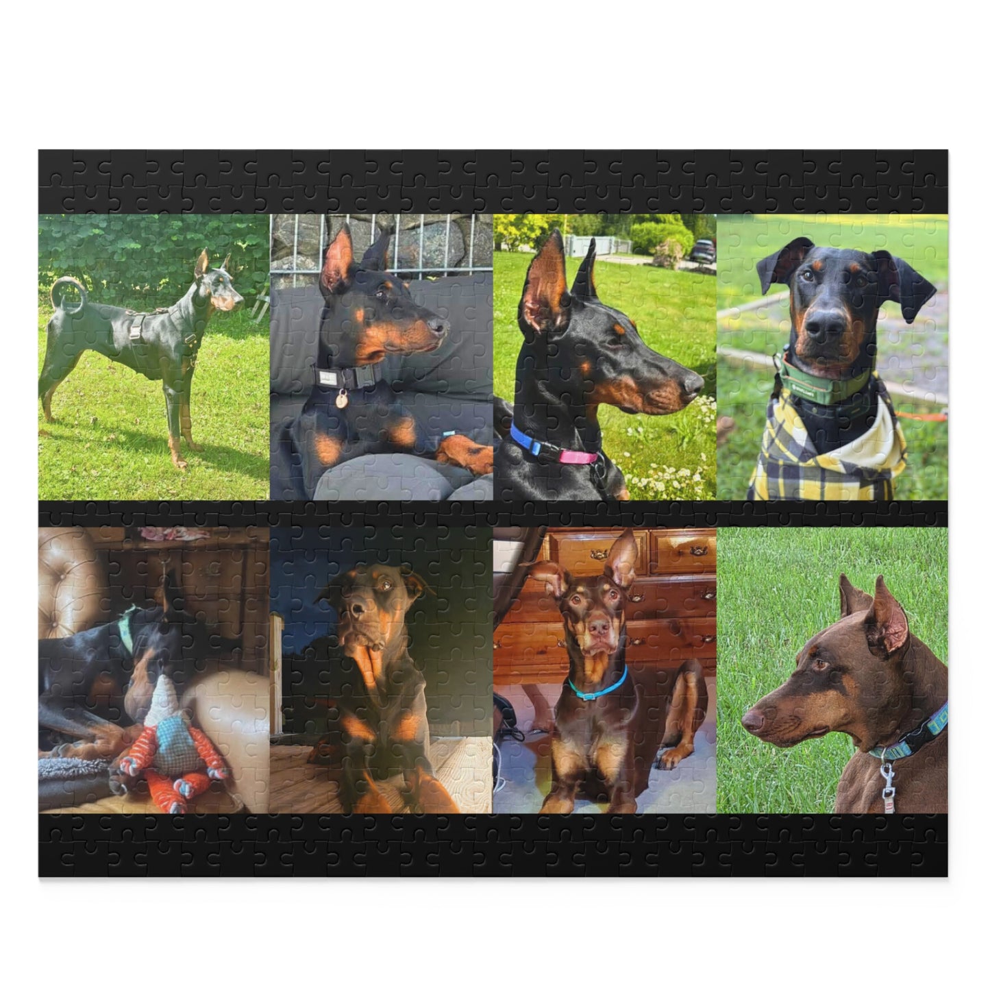 Limited Edition Doberman Community Jigsaw Puzzle 6