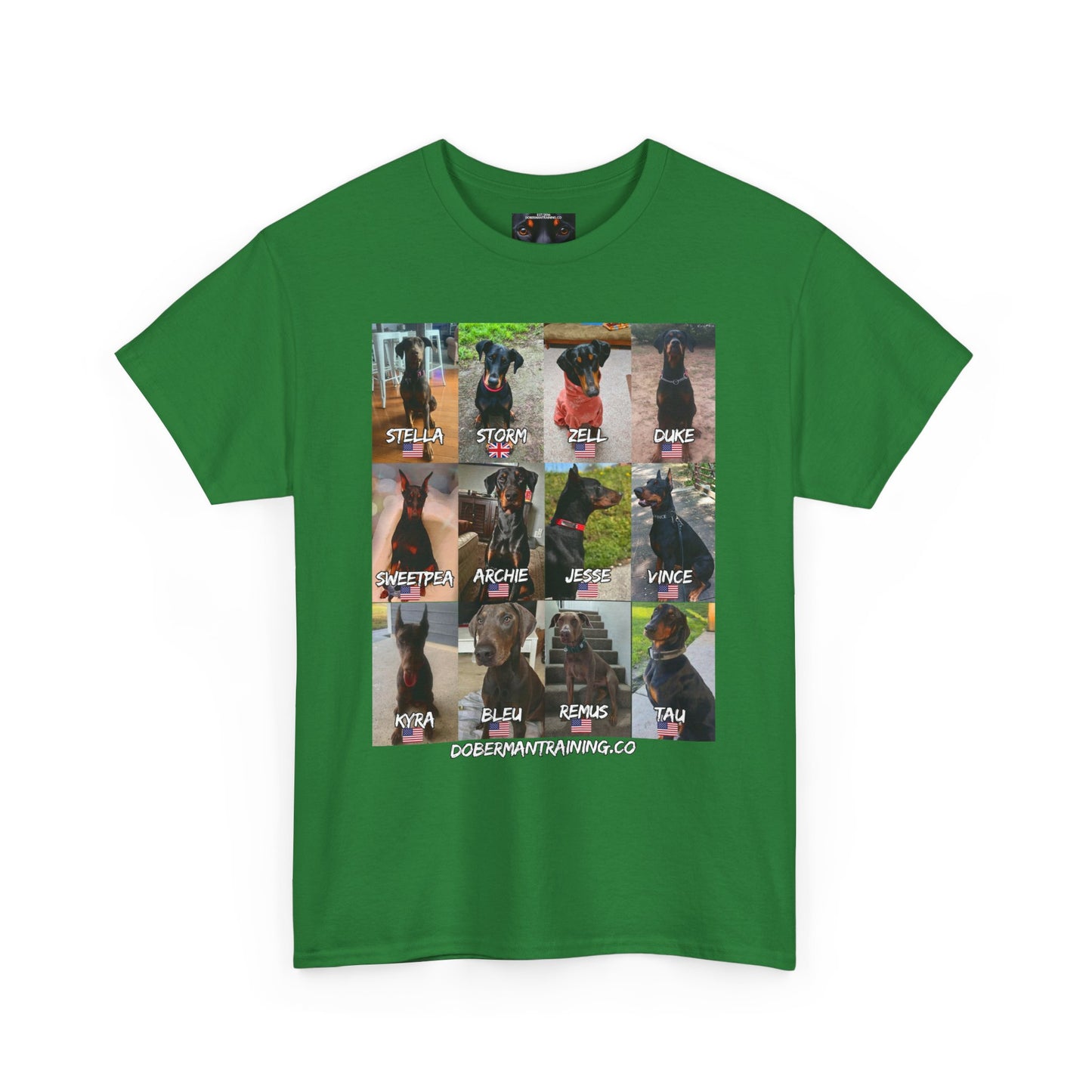 Fam 1 Sit Private Lable Unisex Heavy Cotton Tee