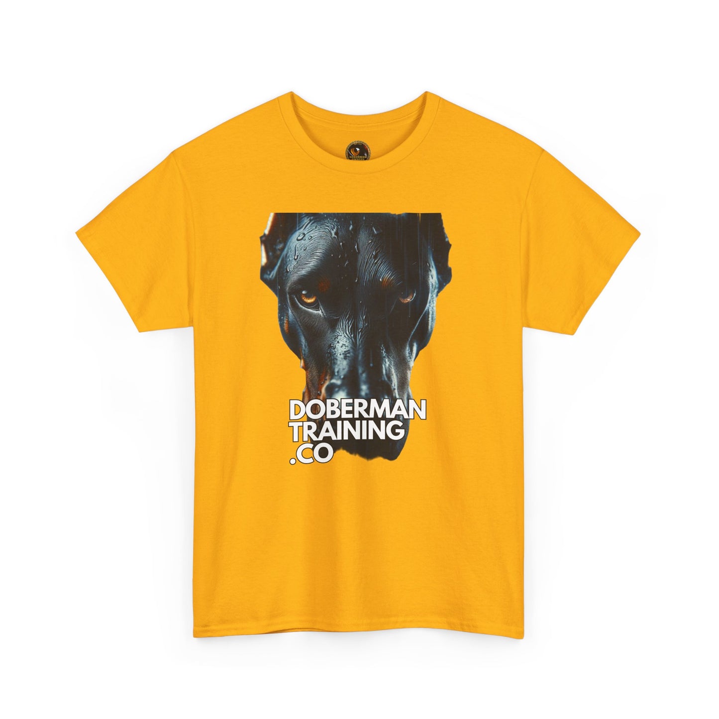 Training Group 4 Private Lable Unisex Heavy Cotton Tee