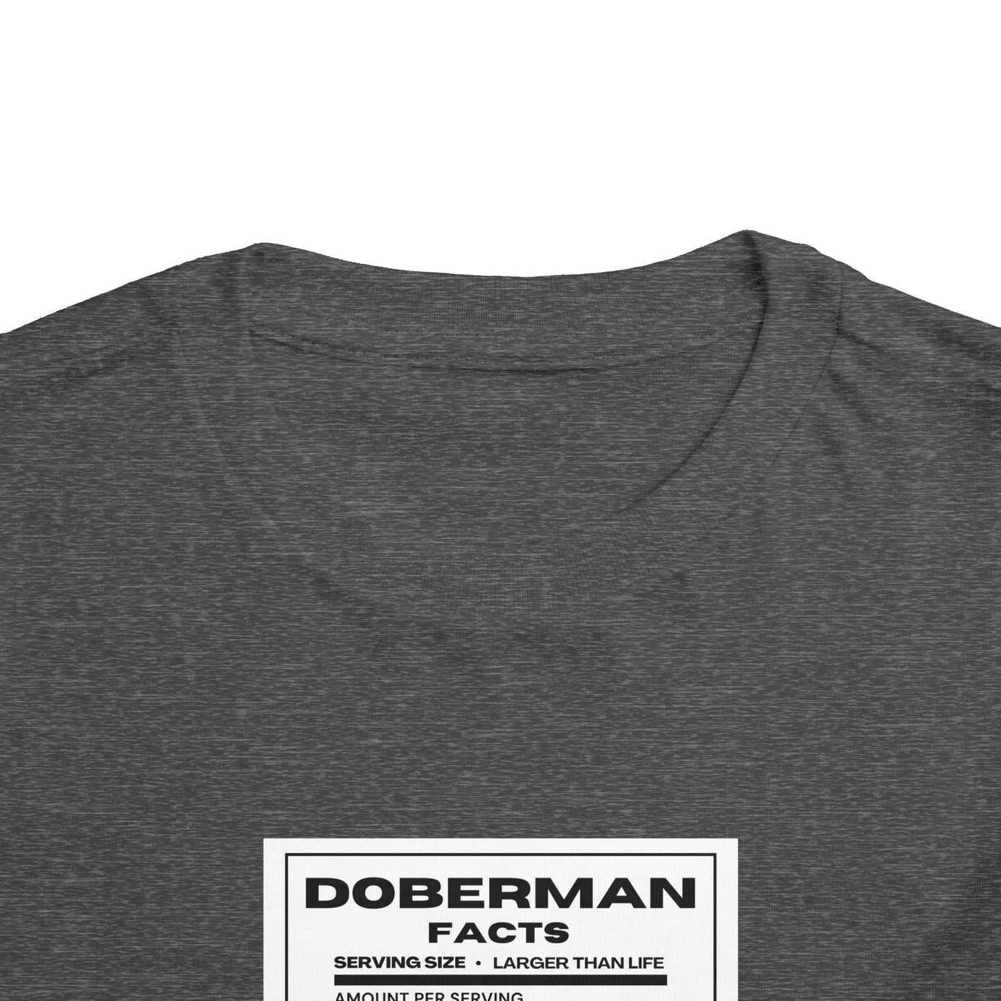 Doberman Facts 1 Toddler Short Sleeve Tee