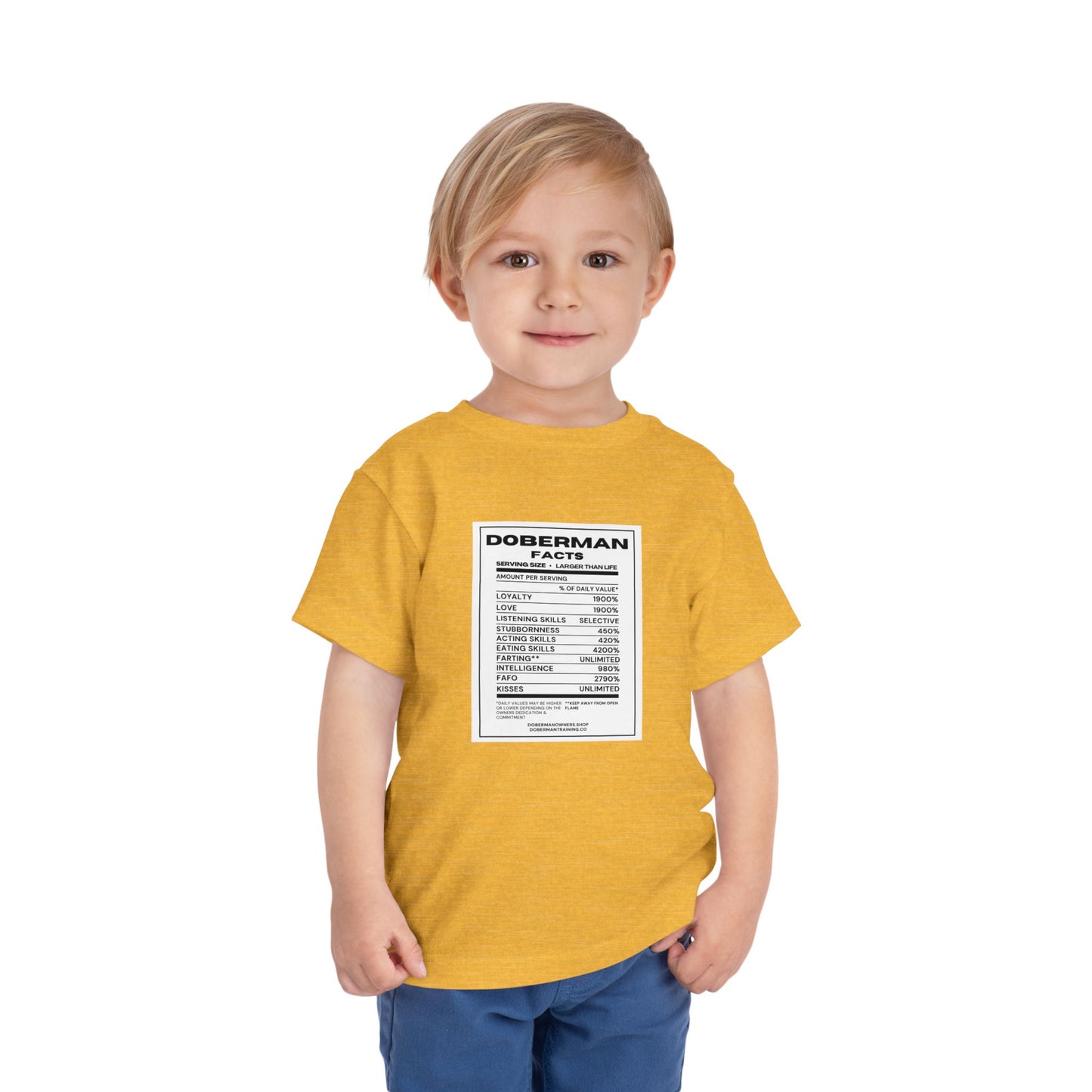 Doberman Facts 1 Toddler Short Sleeve Tee