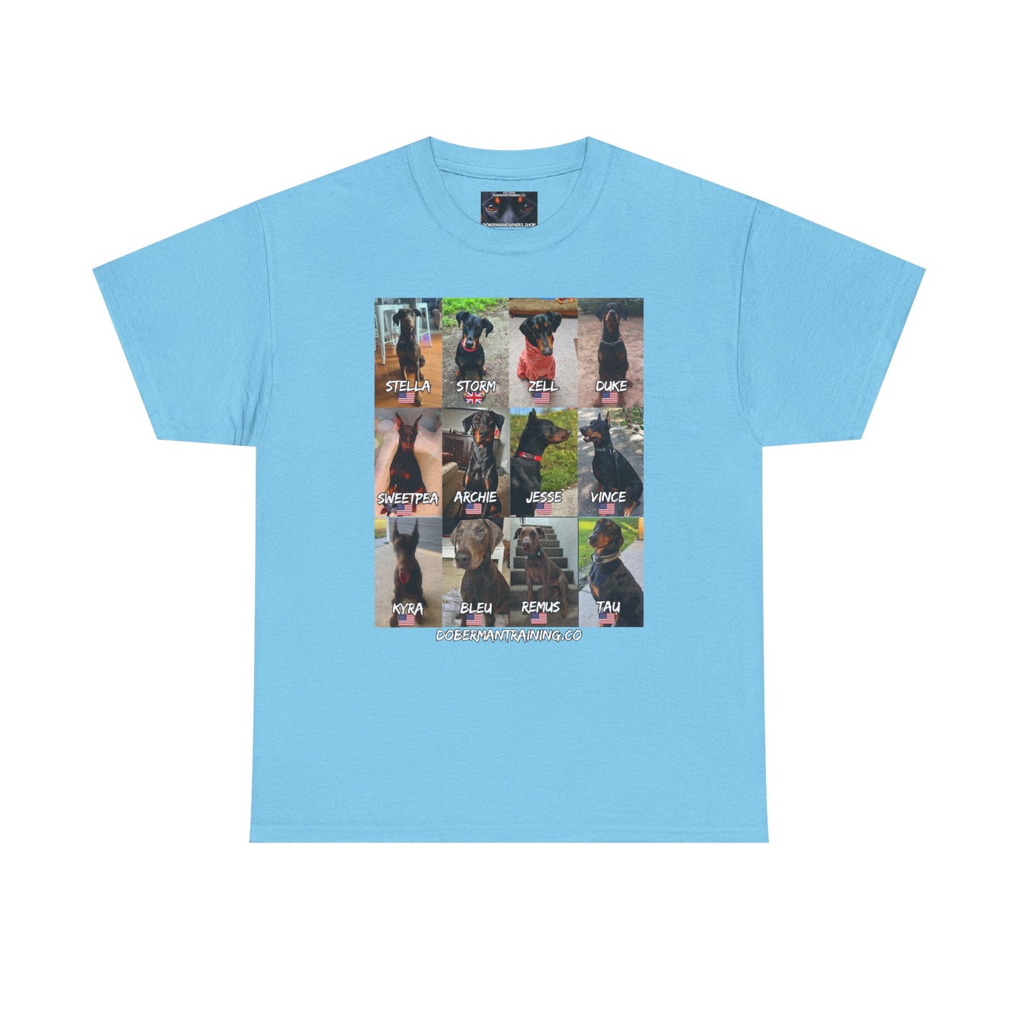 Fam 1 Sit Private Lable Unisex Heavy Cotton Tee