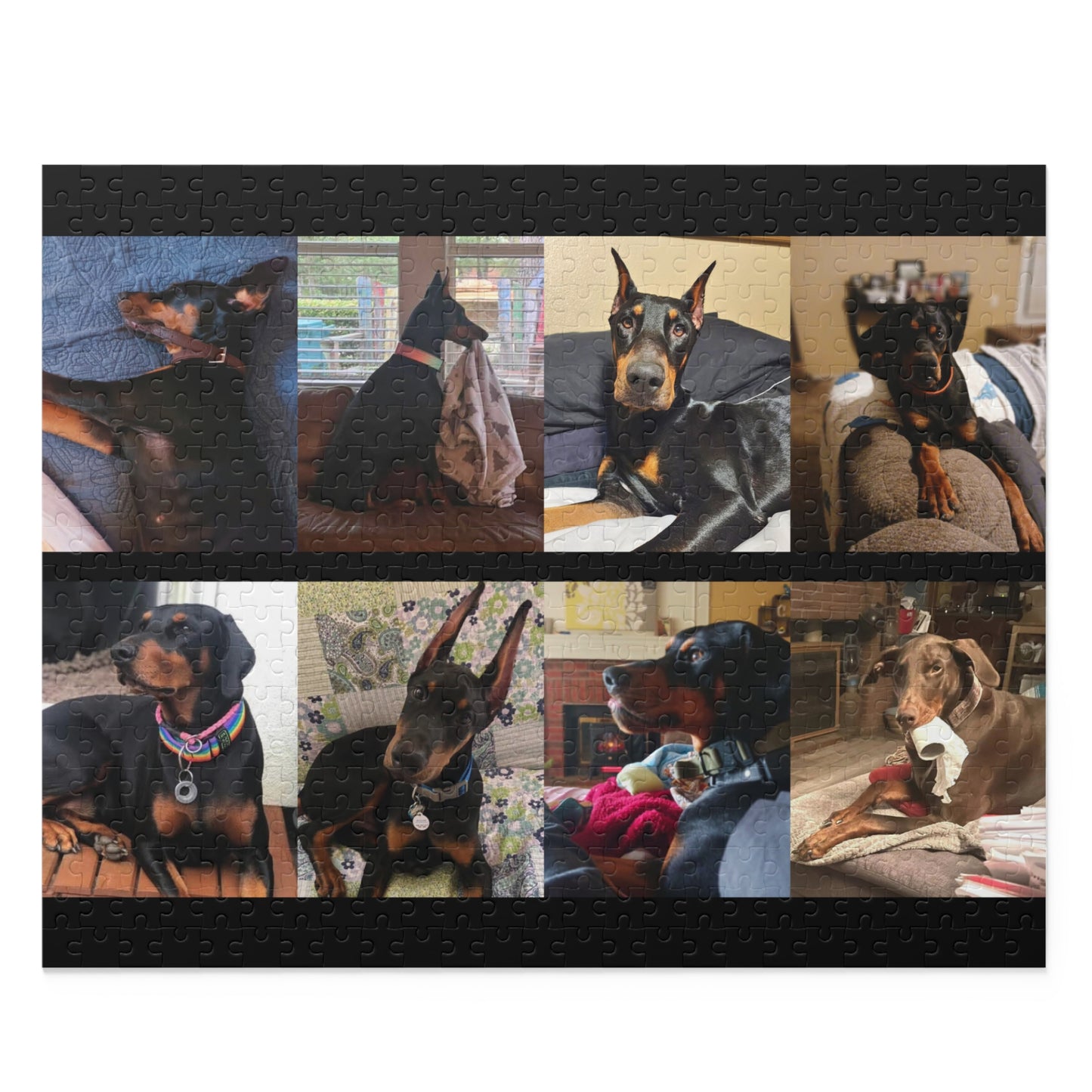 Limited Edition Doberman Community Jigsaw Puzzle 3