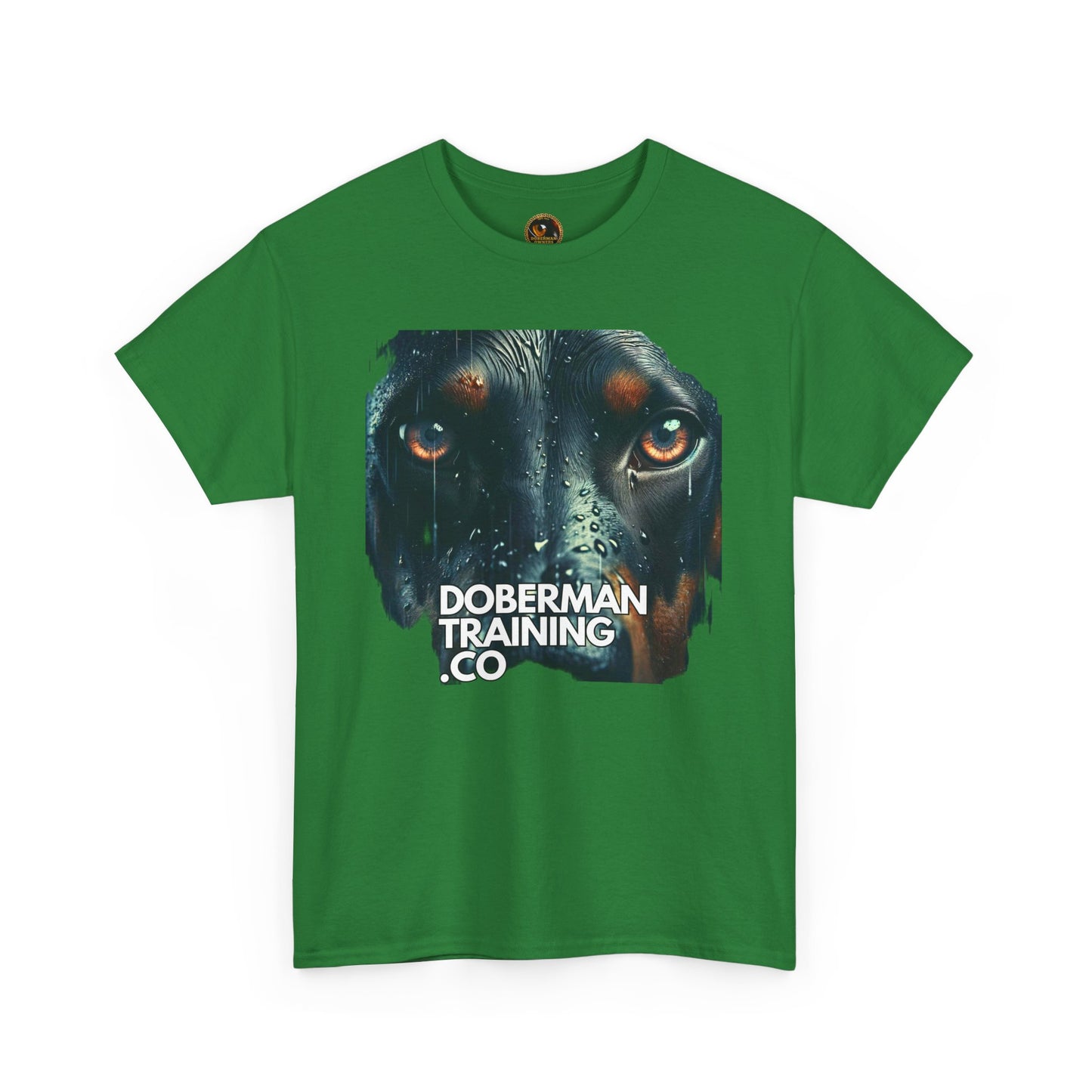 Training Group 2 Private Lable Unisex Heavy Cotton Tee