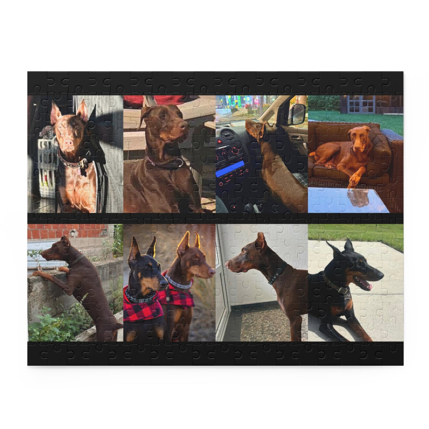 Limited Edition Doberman Community Jigsaw Puzzle 5