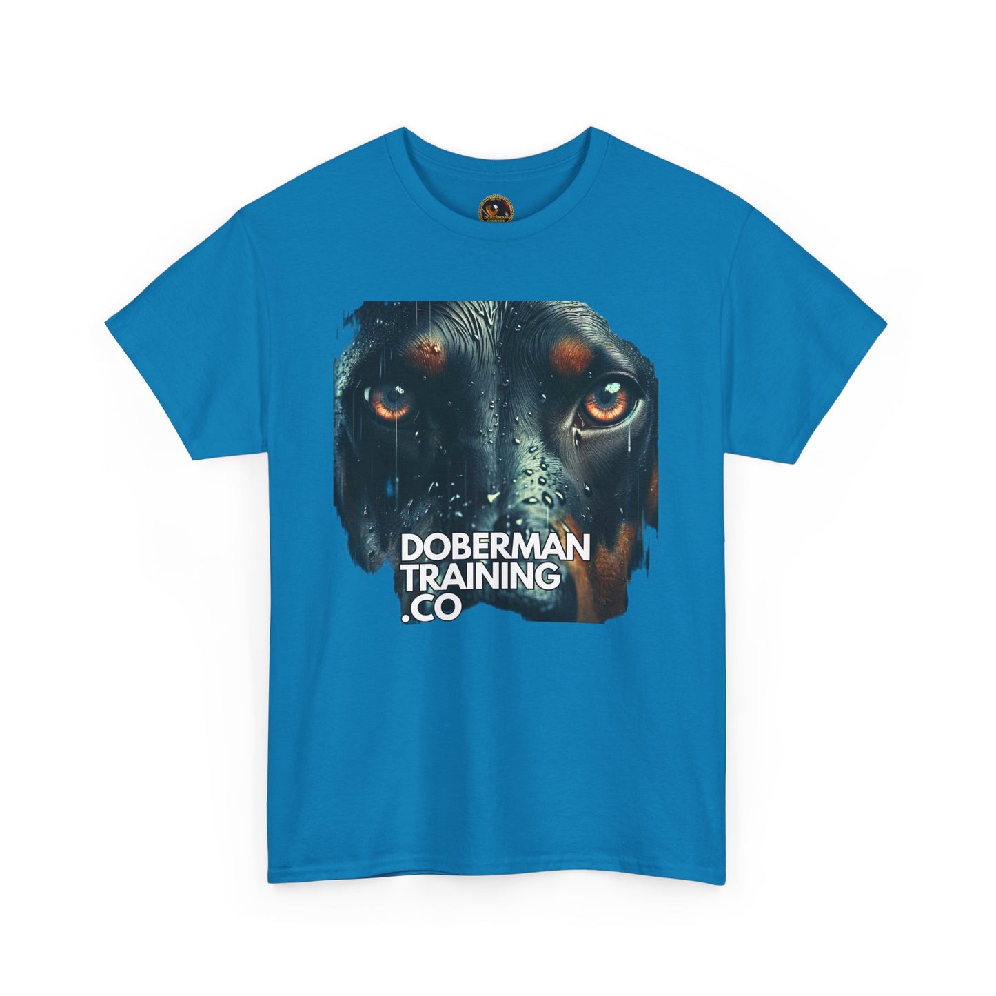 Training Group 2 Private Lable Unisex Heavy Cotton Tee