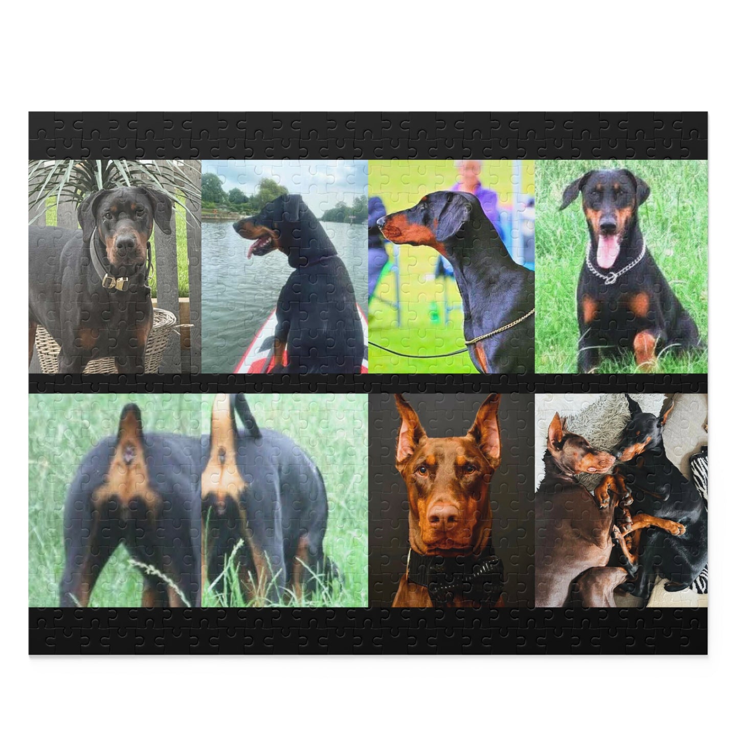 Limited Edition Doberman Community Jigsaw Puzzle 8