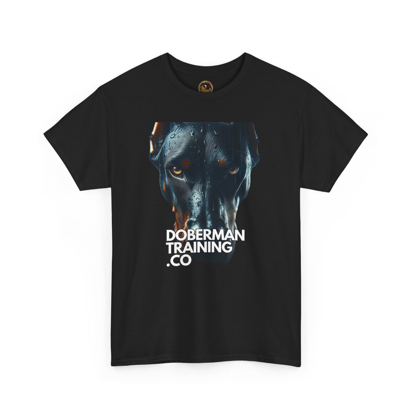 Training Group 4 Private Lable Unisex Heavy Cotton Tee