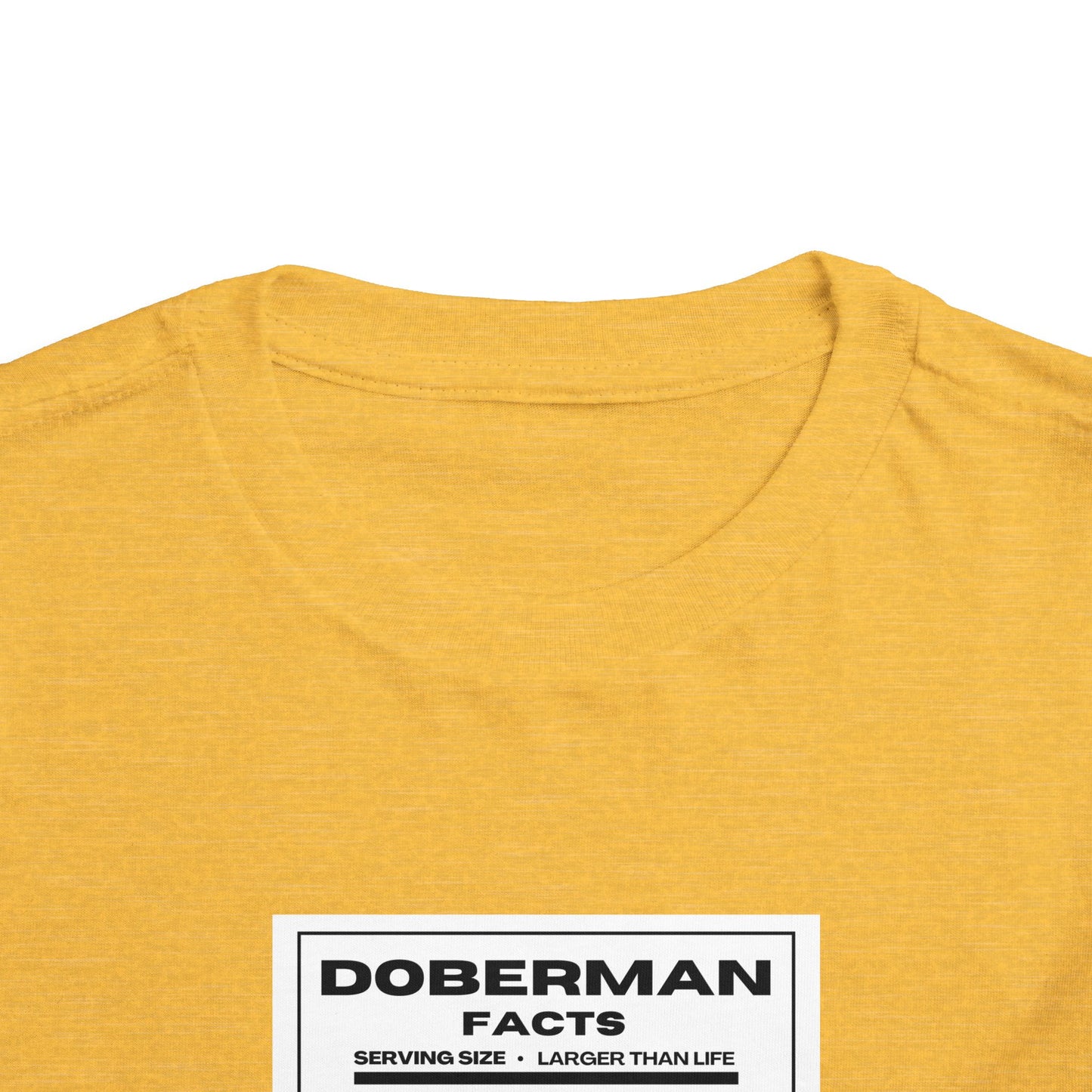 Doberman Facts 1 Toddler Short Sleeve Tee