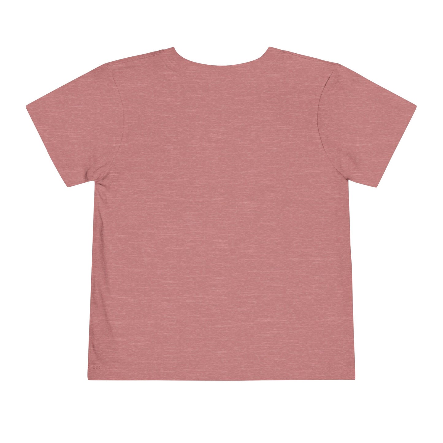 Doberman Facts 1 Toddler Short Sleeve Tee