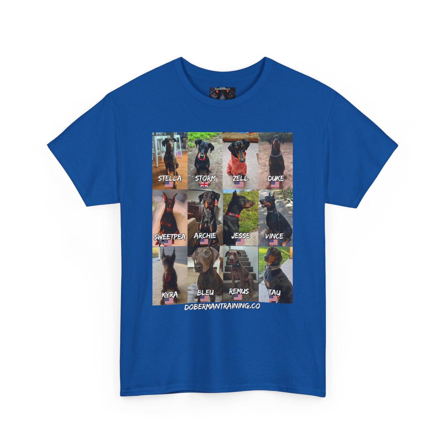Fam 1 Sit Private Lable Unisex Heavy Cotton Tee