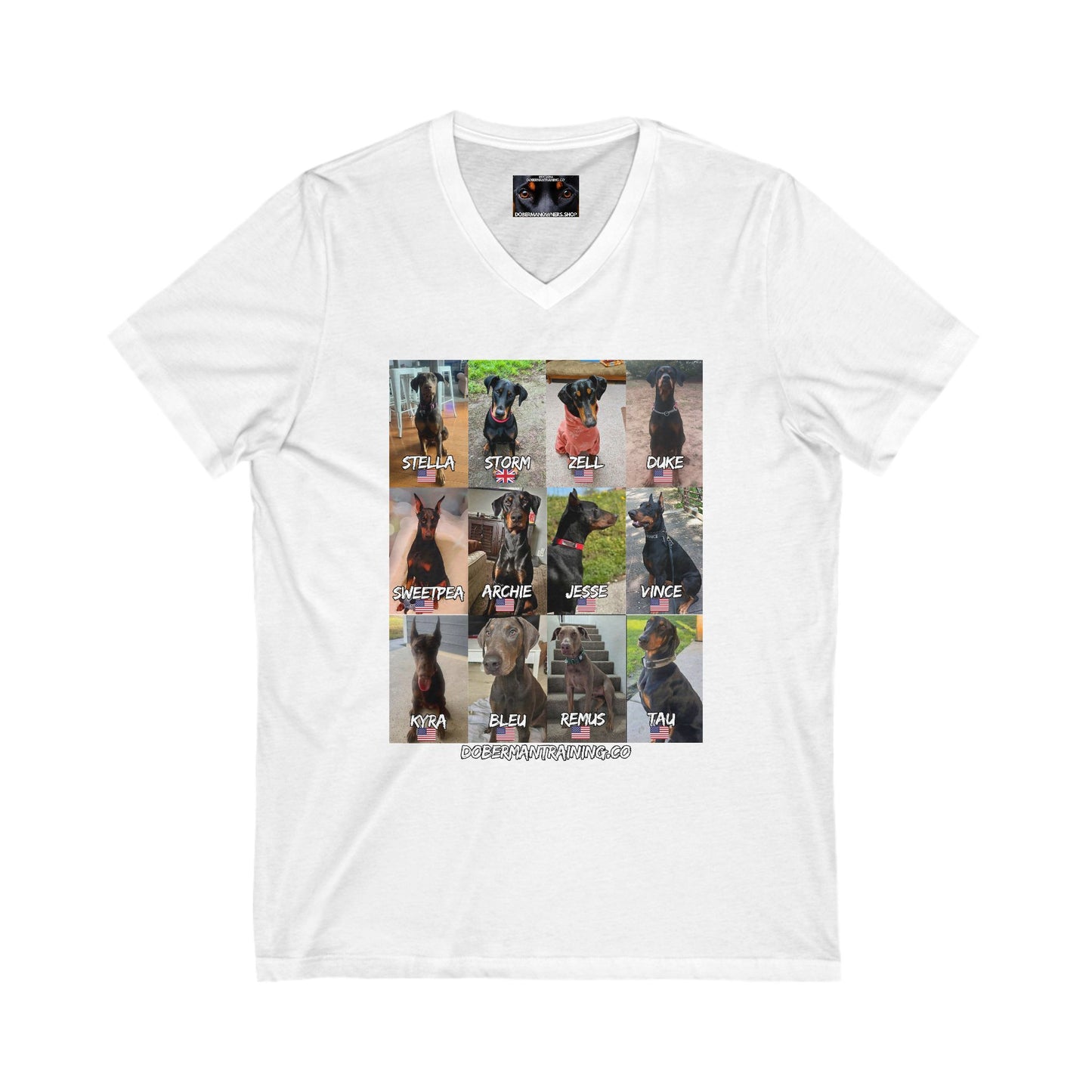 Fam 1 Sit Private Label Unisex Jersey Short Sleeve V-Neck Tee