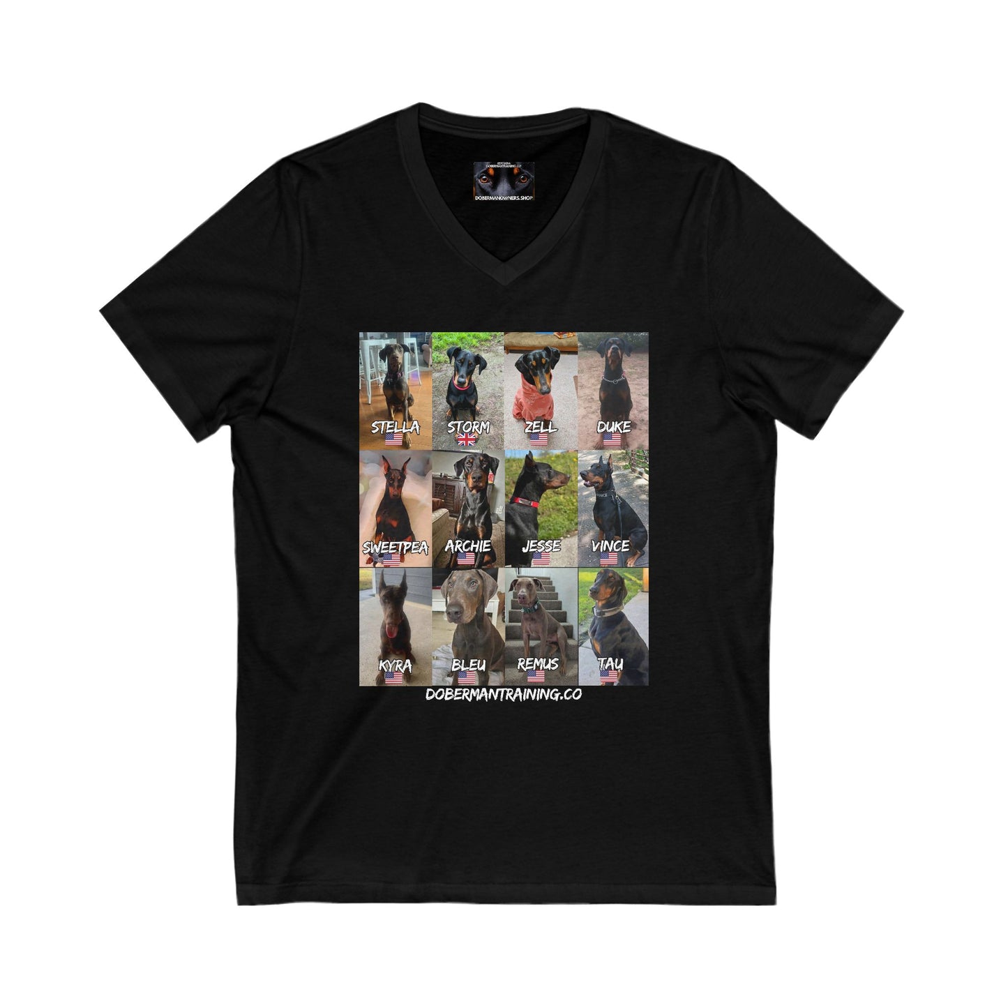 Fam 1 Sit Private Label Unisex Jersey Short Sleeve V-Neck Tee