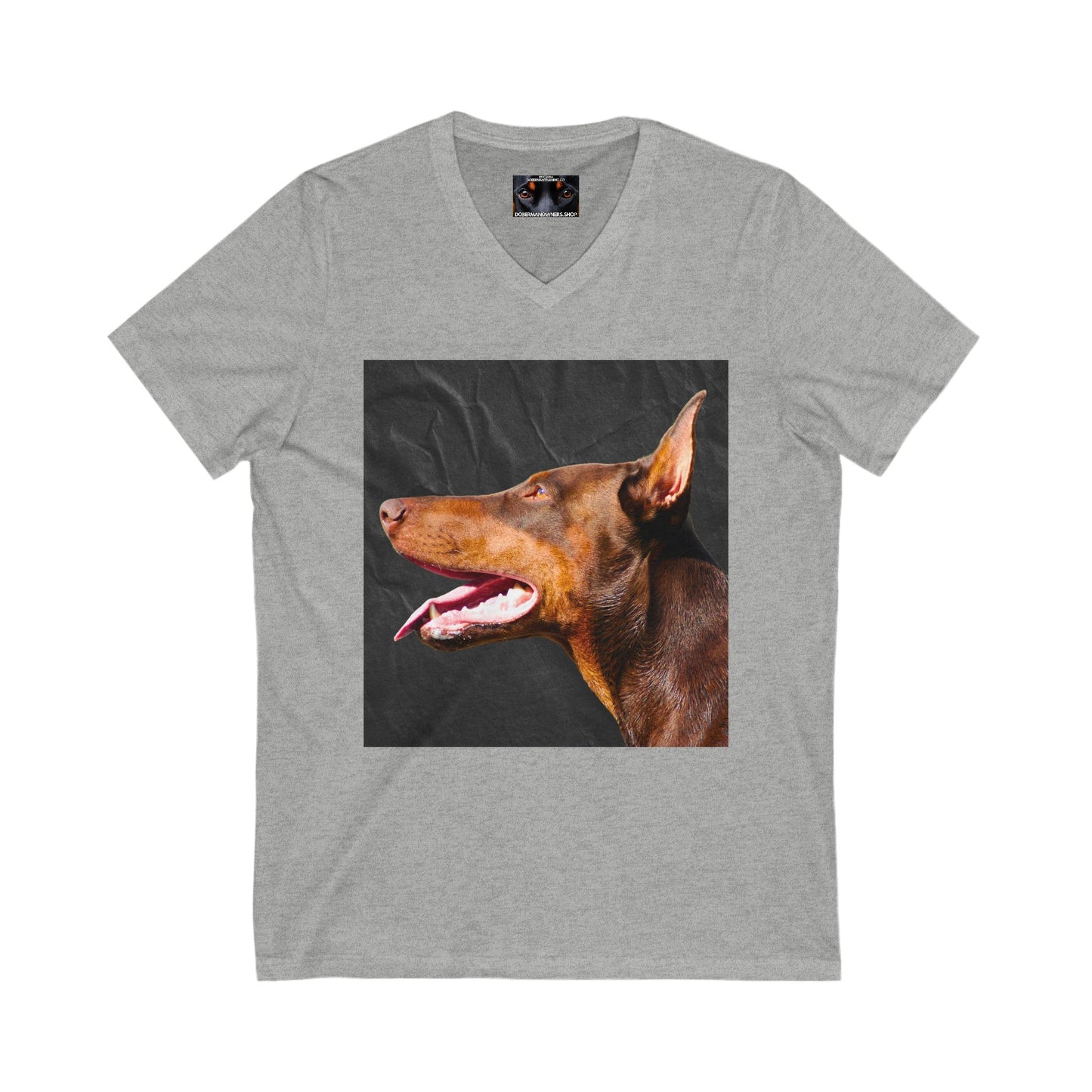 The Look 2 Private Label Unisex Jersey Short Sleeve V-Neck Tee