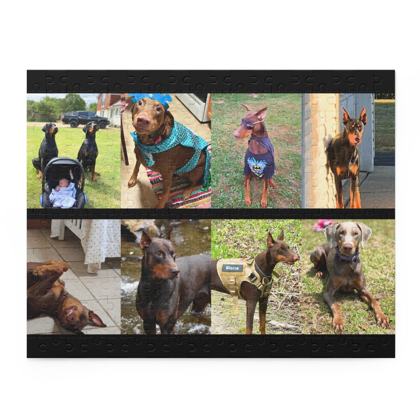Limited Edition Doberman Community Jigsaw Puzzle 11