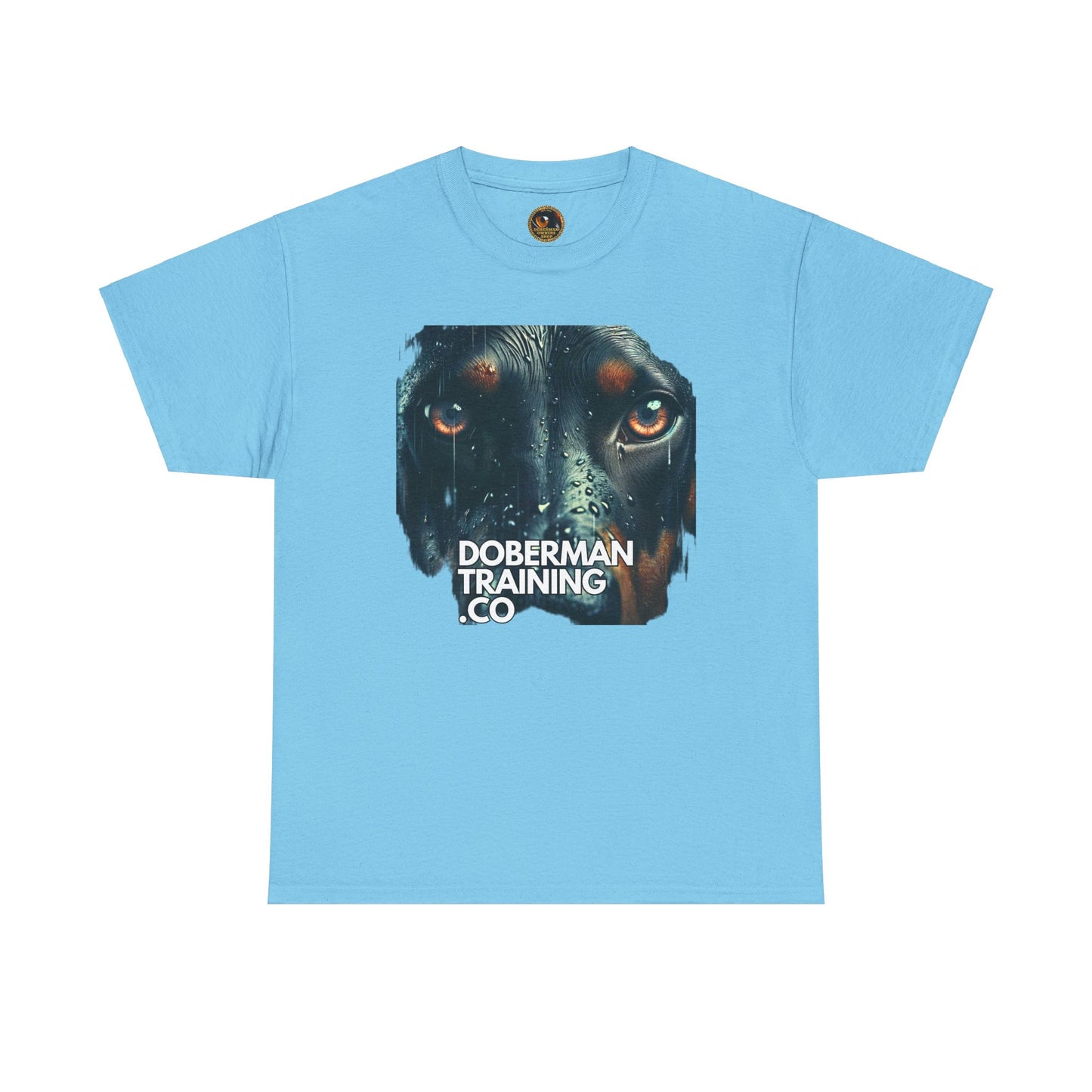 Training Group 2 Private Lable Unisex Heavy Cotton Tee