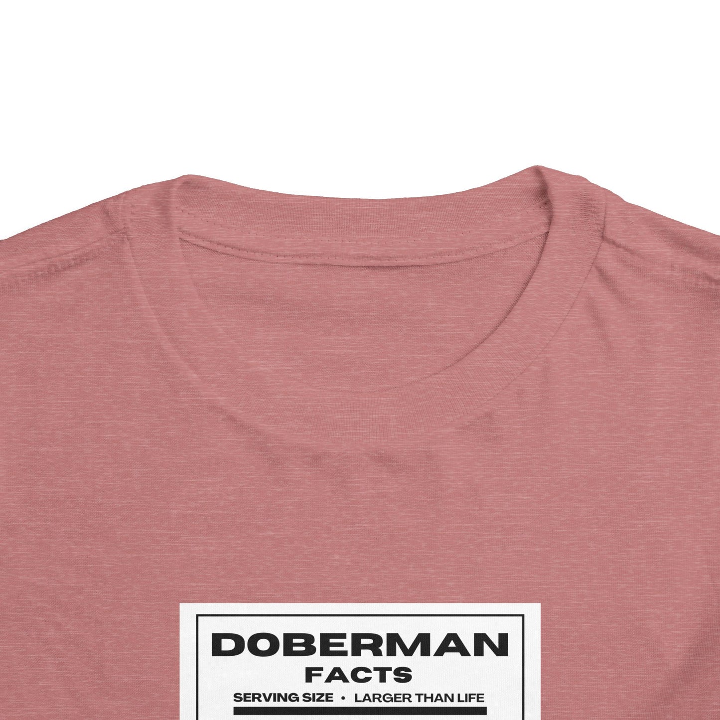 Doberman Facts 1 Toddler Short Sleeve Tee