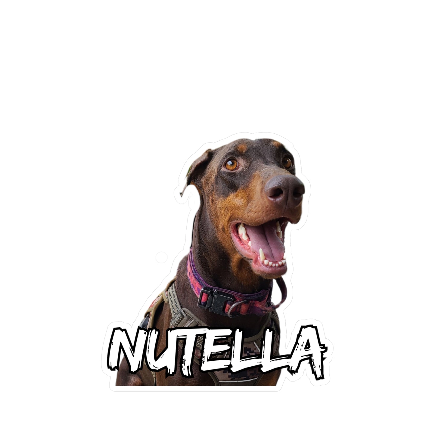 Regal Custom Doberman Vinyl Decals
