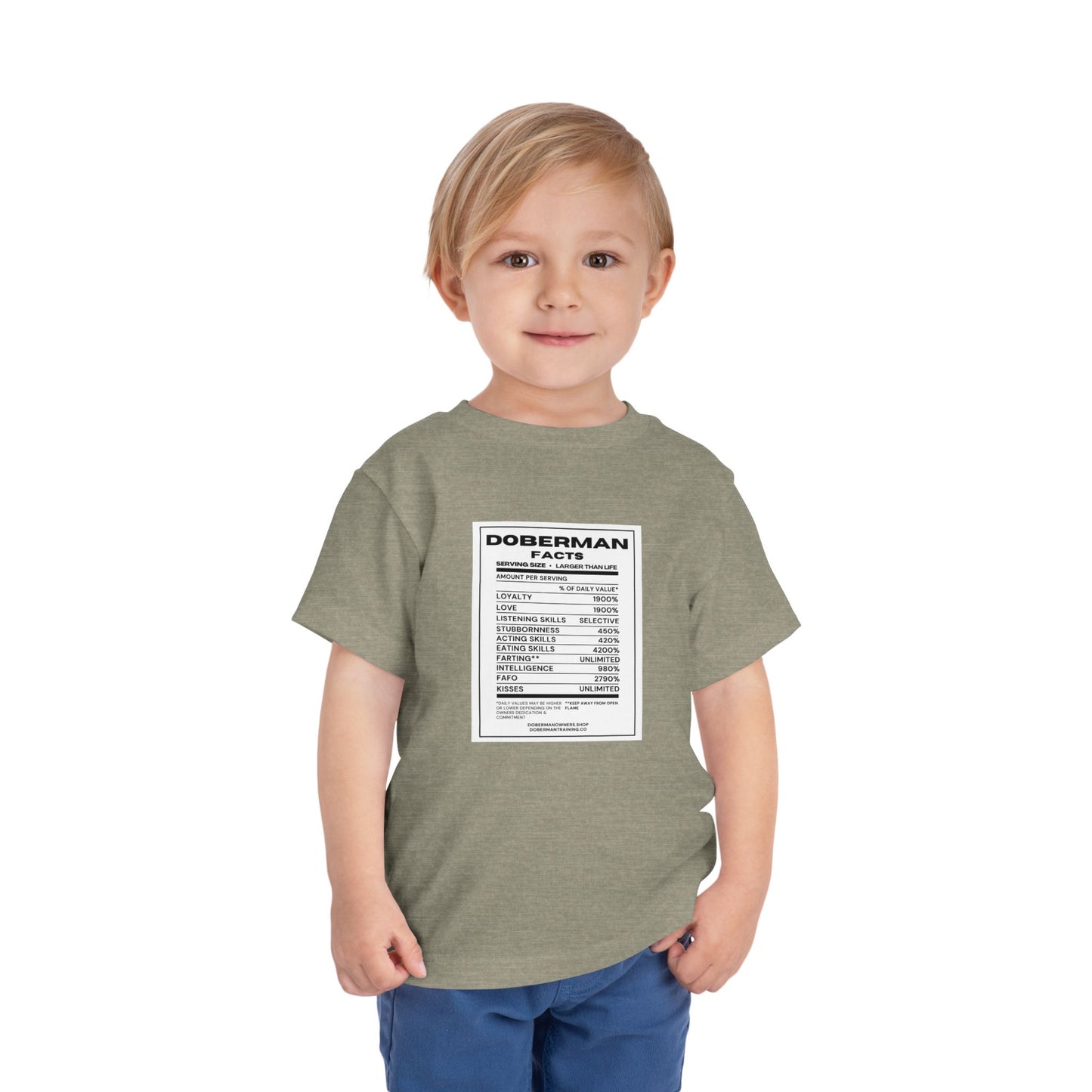 Doberman Facts 1 Toddler Short Sleeve Tee