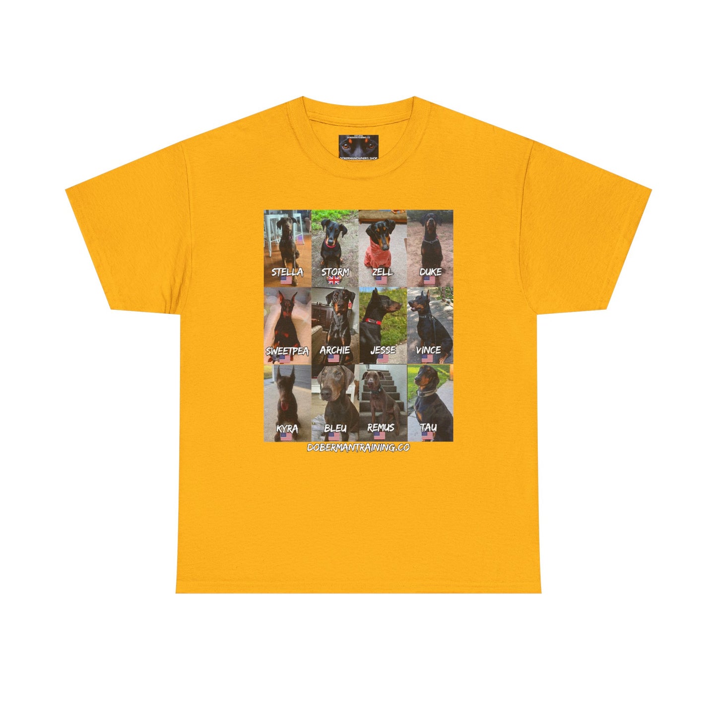 Fam 1 Sit Private Lable Unisex Heavy Cotton Tee