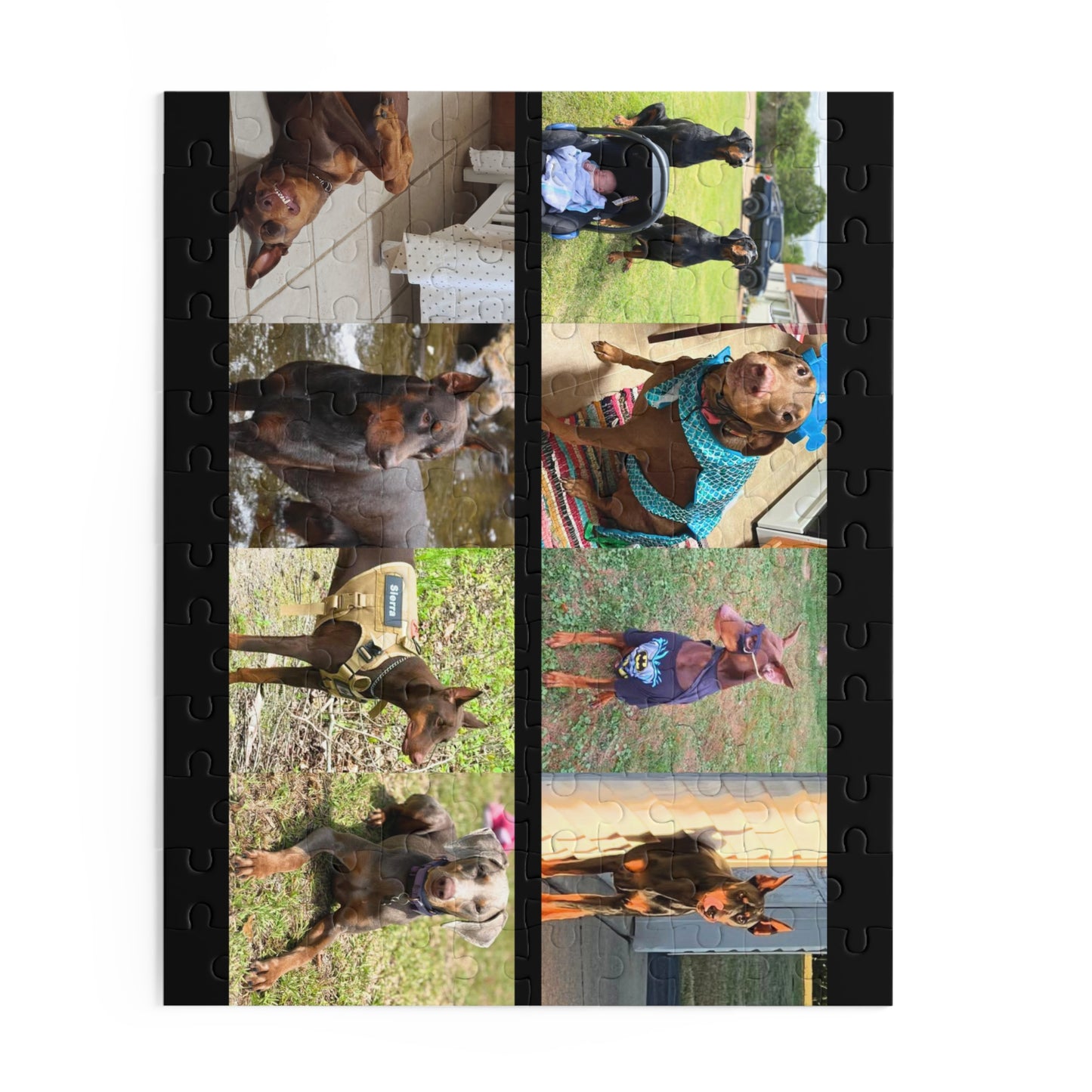 Limited Edition Doberman Community Jigsaw Puzzle 11