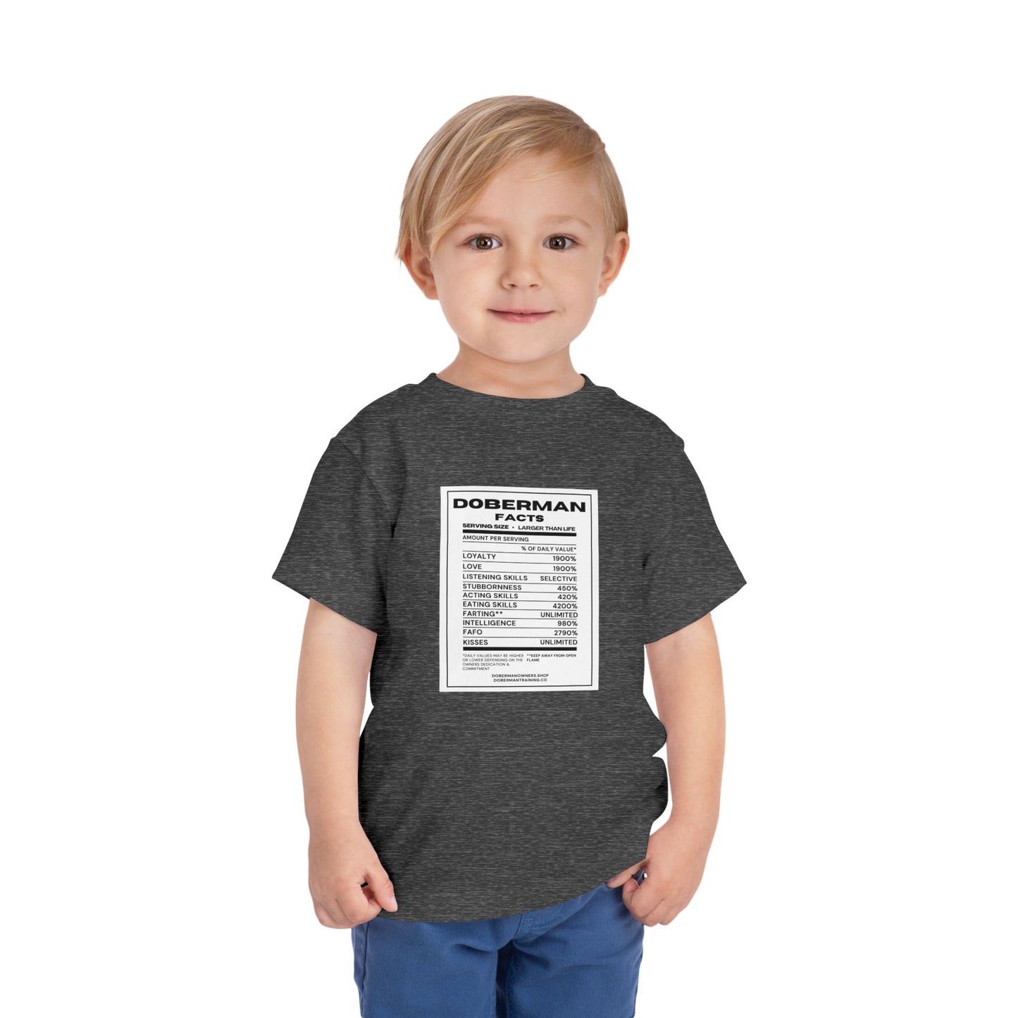 Doberman Facts 1 Toddler Short Sleeve Tee