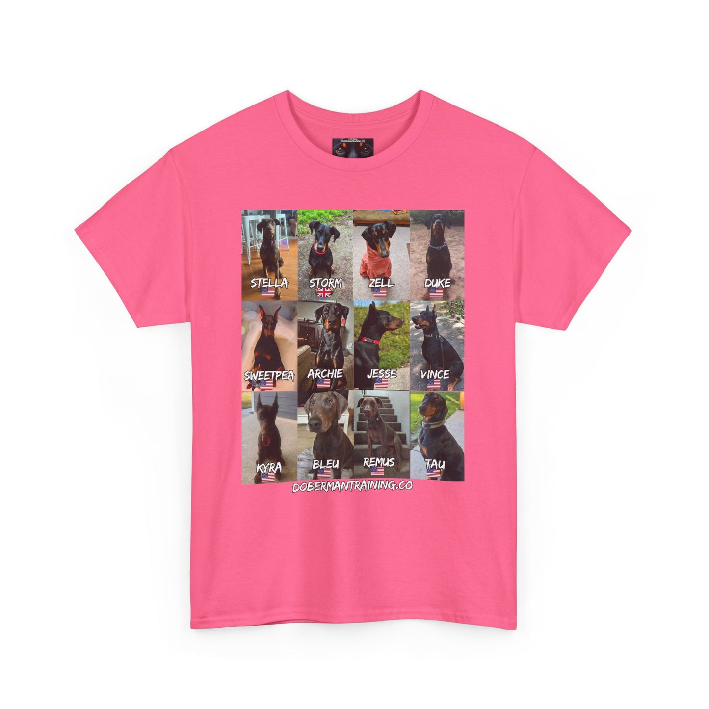 Fam 1 Sit Private Lable Unisex Heavy Cotton Tee
