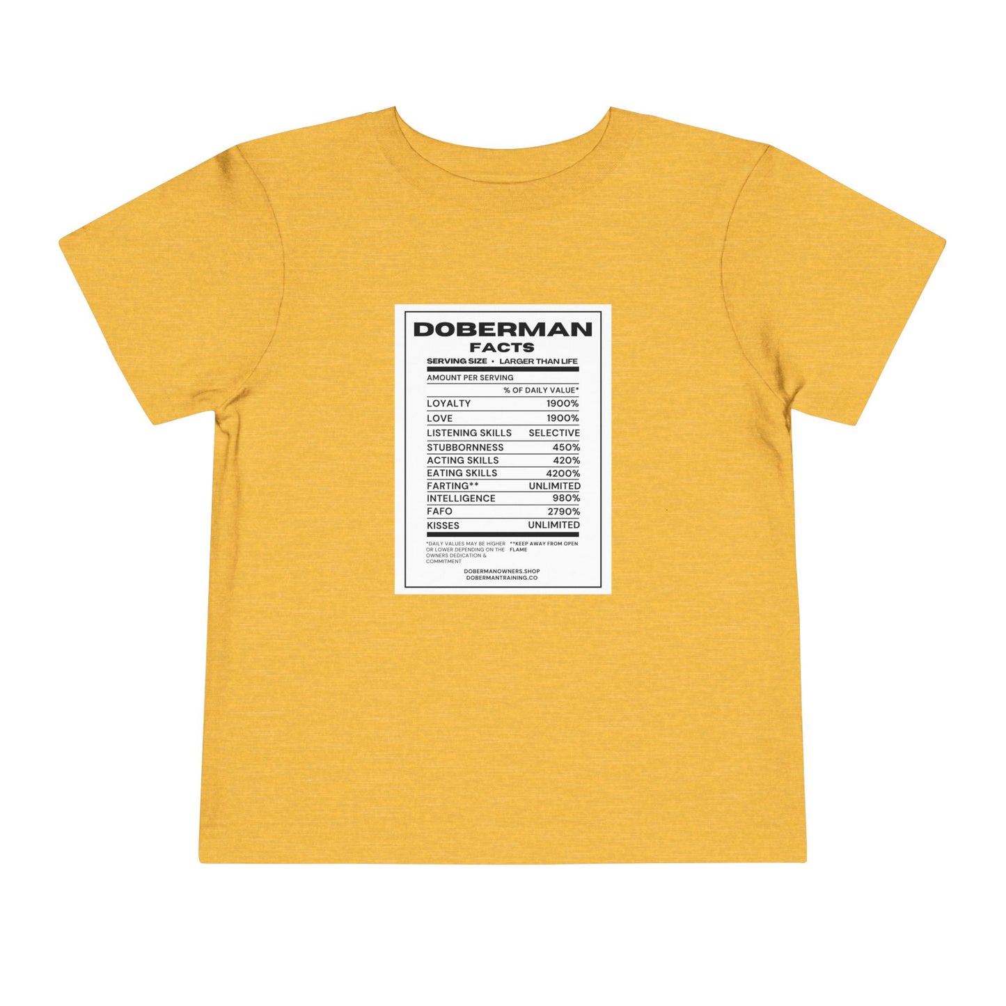 Doberman Facts 1 Toddler Short Sleeve Tee