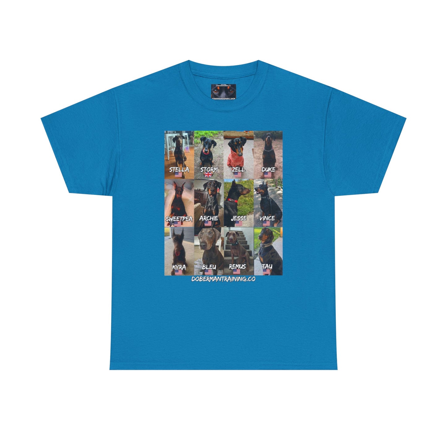 Fam 1 Sit Private Lable Unisex Heavy Cotton Tee